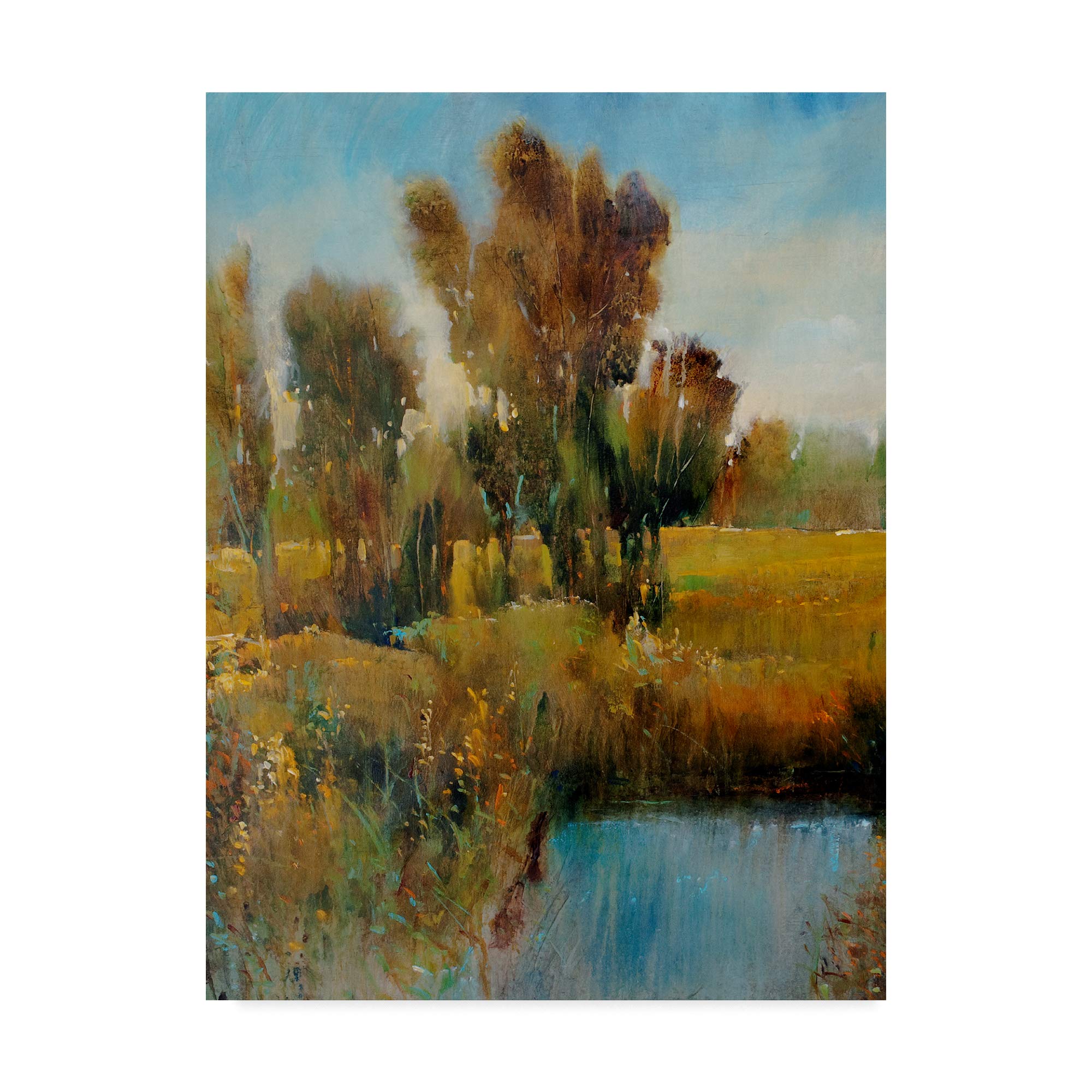 Trademark Fine ArtSun Kissed Field I by Tim Otoole, 24x32-Inch