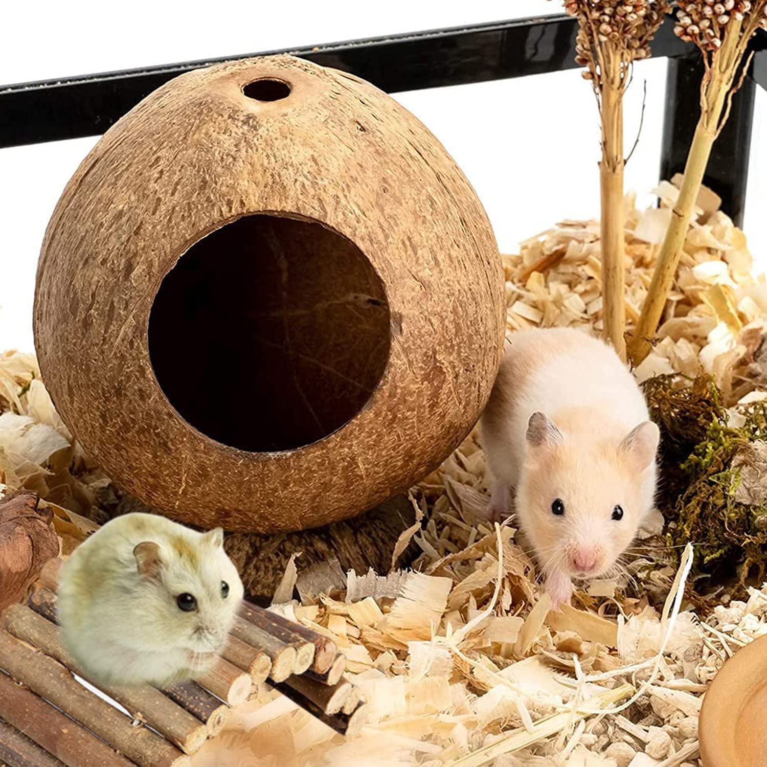 2 Pezzi Nido per Criceti e Uccelli di Cocco, Giocattoli Arrampicata con Scala, per Il Posatoio e La Ricreazione degli Animali Domestici