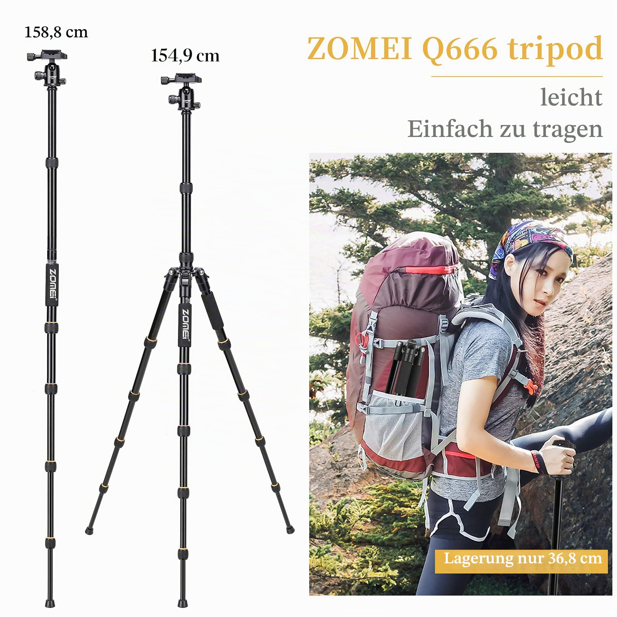 ZOMEI Q666 Kamera Stativ, 155cm Aluminium-Leichtbau Reisestativ, 3-in-1 Fotostativ Makrostativ und Einbeinstativ, mit 360° Panorama Kugelkopf und 1/4" Schnellwechselplatte für DSLR Kamera Camcorder