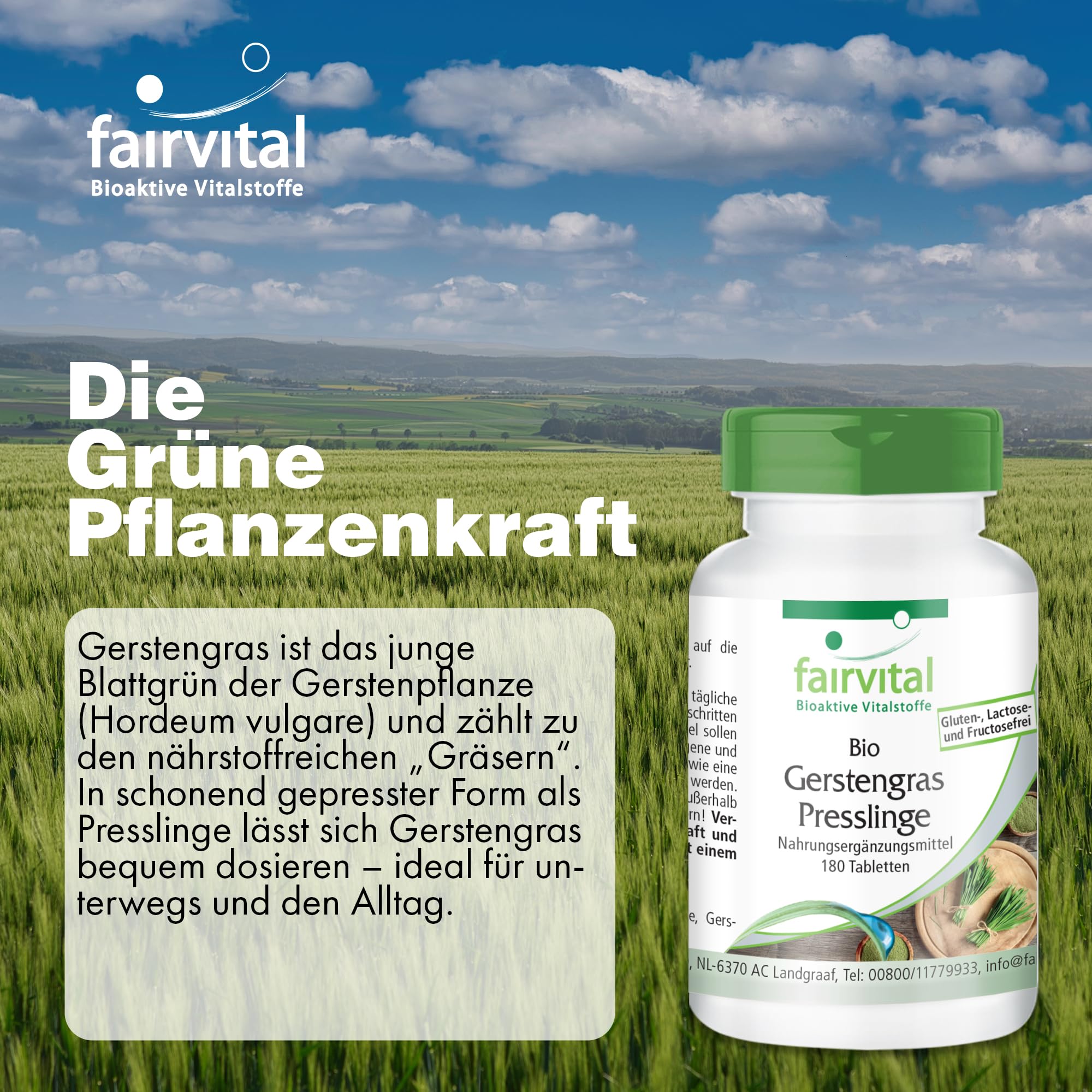 fairvital Bio Gerstengras Presslinge, 180 Tabletten, Hoch bioverfügbar, qualitätsgeprüft und hochdosiert, 100% vegan, Made in Germany