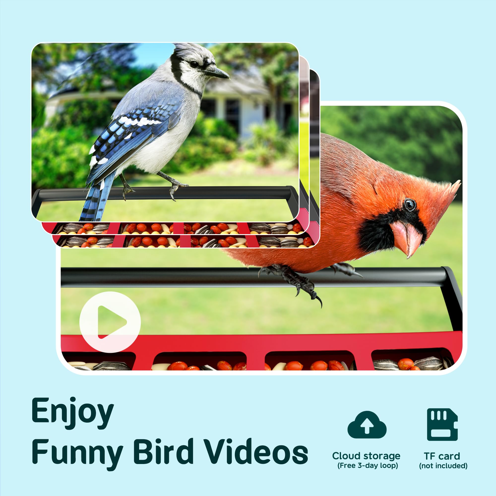 Bird Feeder With Camera BBPECO Smart Solar Powered Squirrels-Proof