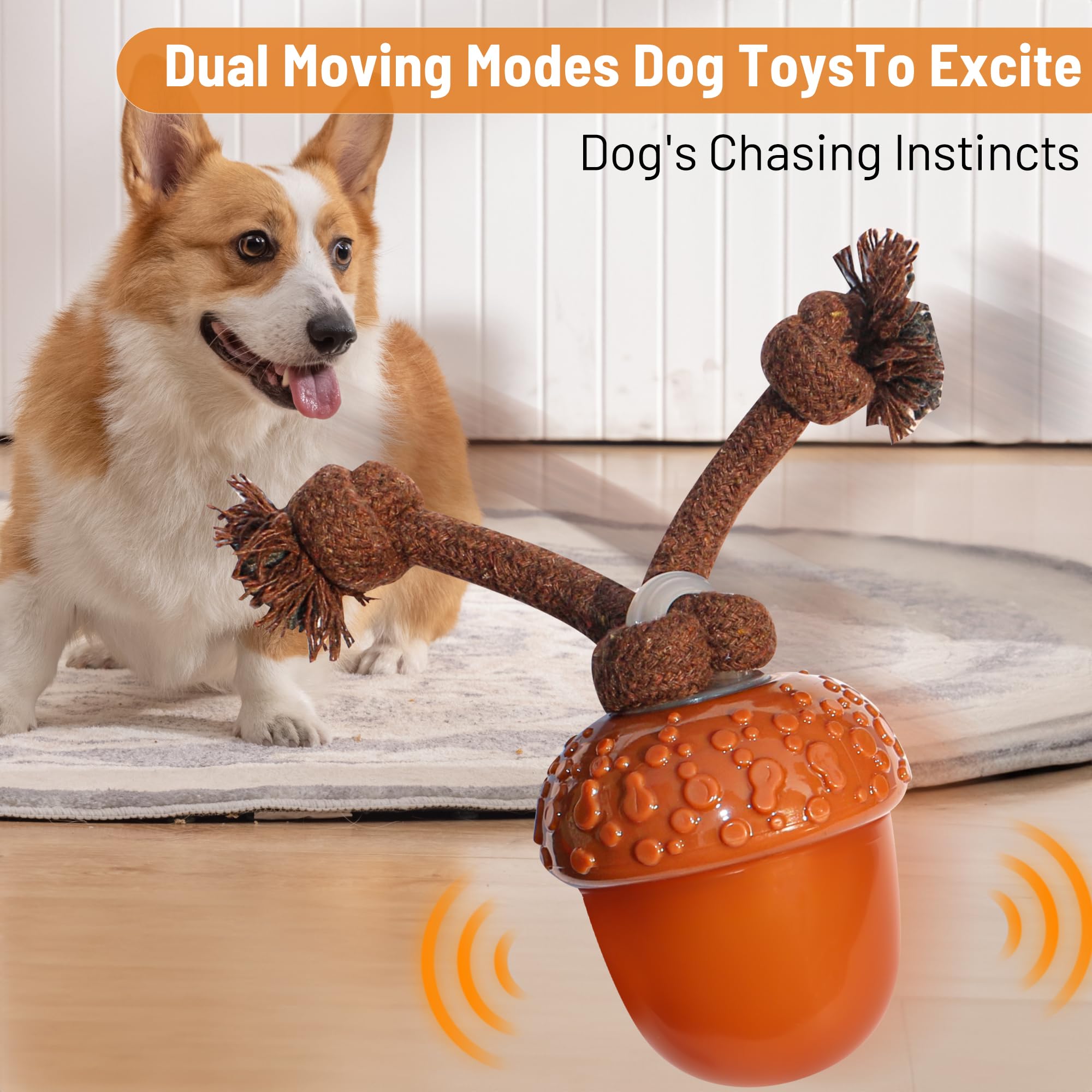 Automatic Interactive Rolling Dogs Toys Ball for Indoor- Rechargeable Activate Dog Pet Toy for Indoor, Self-Playing Automatic Moving Kitten Toys for Dogs, Durable and Safe Material?Larger Nut?