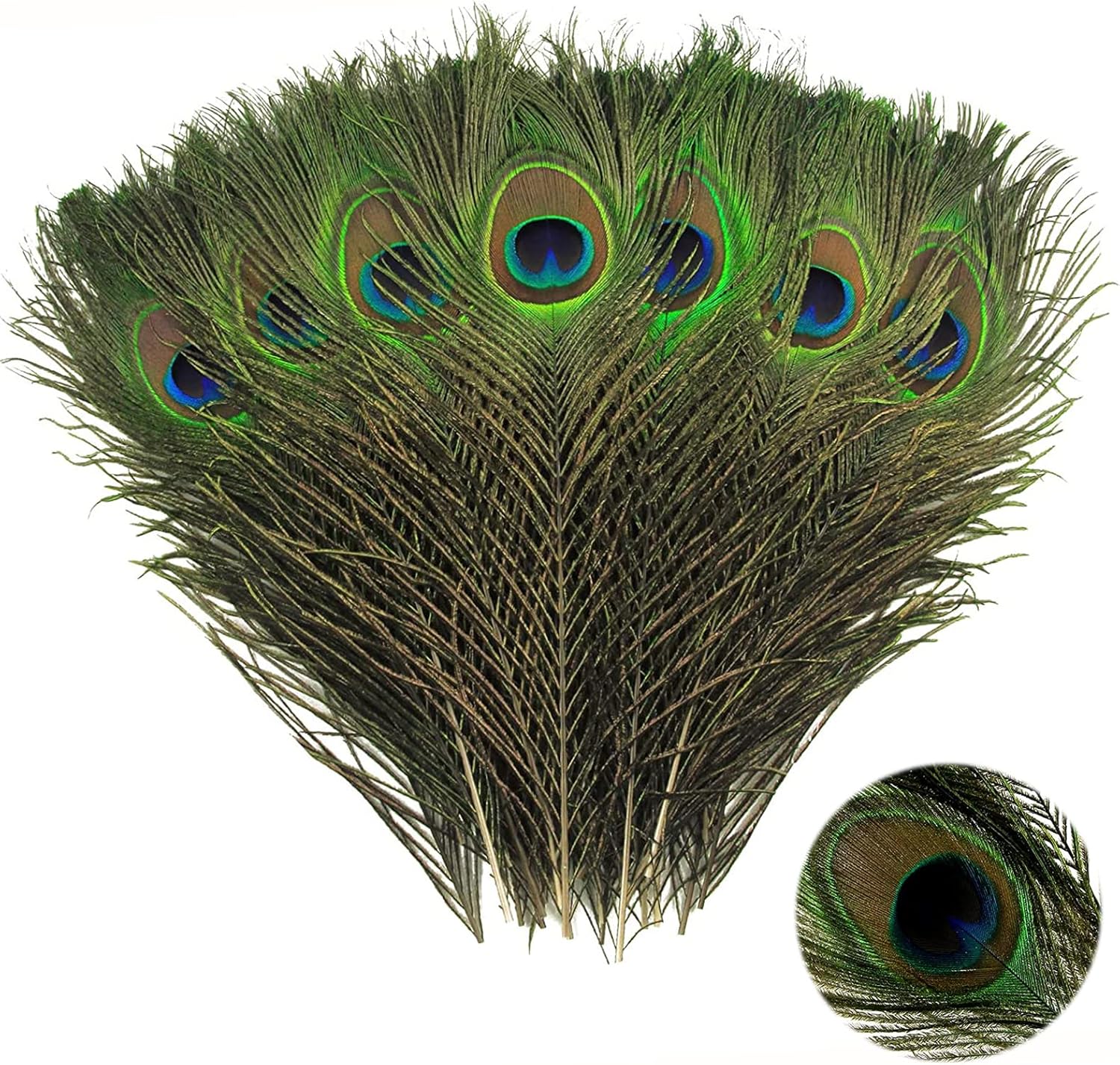 NHCDFA 16pcs Peacock Feathers, Peacock Feathers Long, 250300 Mm for DIY Craft, Wedding
