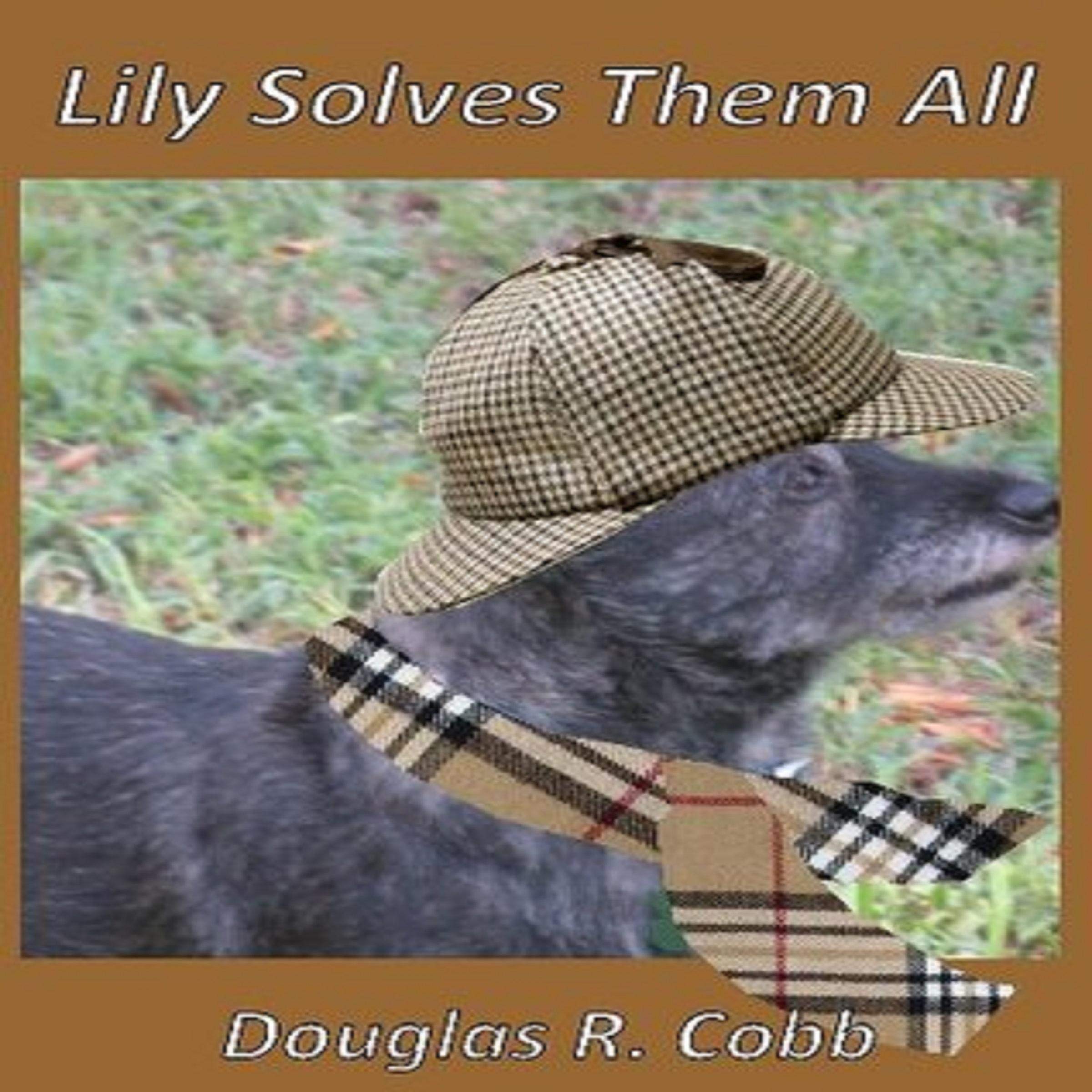 Cover art for Lily Solves Them All