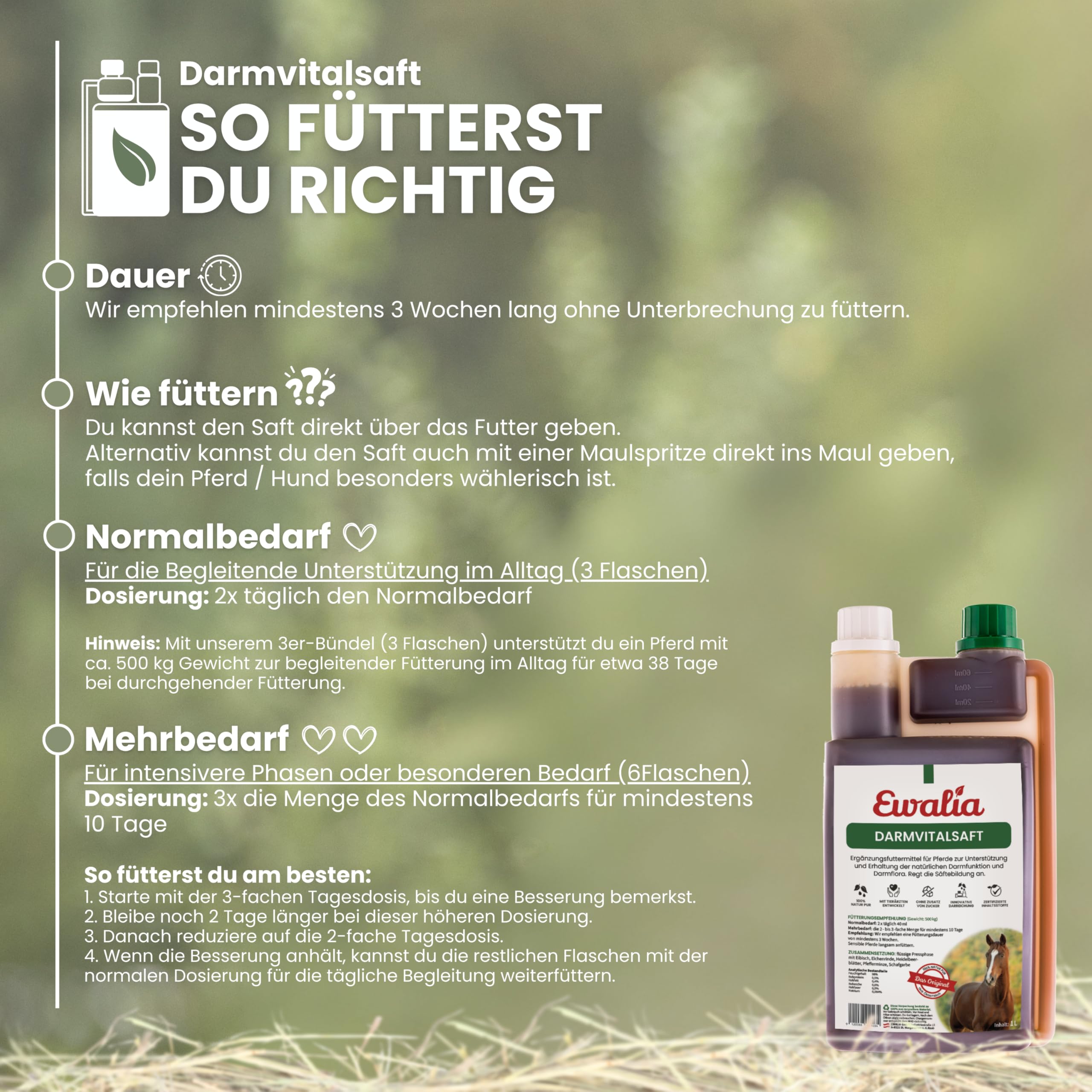 EWALIA Darmvitalsaft | 1 l | Ergänzungsfuttermittel für Pferde | Mit Schafgarbe & Pfefferminze