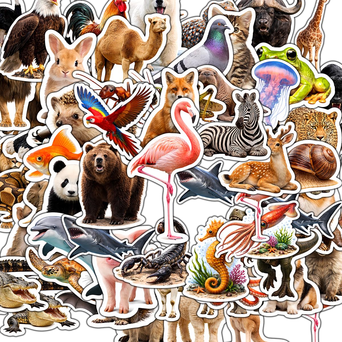 Autocollants réalistes en vinyle imperméable lot de 60 stickers pour gourde