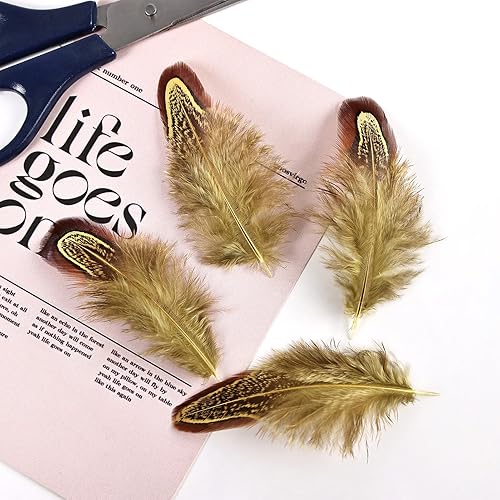 Miniatura 6 de THARAHT Plumas de plumaje de faisán, 120 unidades, naturales, de 2 a 3 pulgadas, para manualidades de Acción de Gracias, sombreros, costura, ropa,