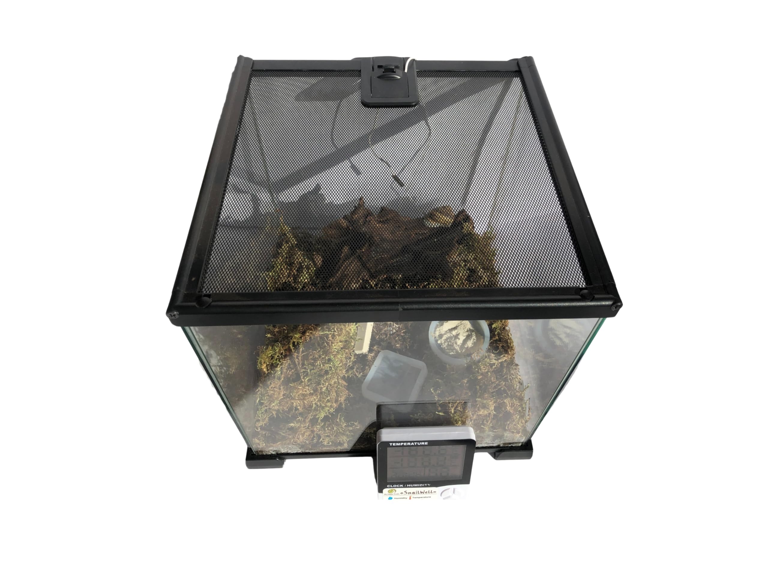 Terrarium Pro Kit - Das ultimative Schneckenpflege-Starterpaket für riesige afrikanische Landschnecken, Helix Aspersa, Helix Pomatia, Hainschnecken usw