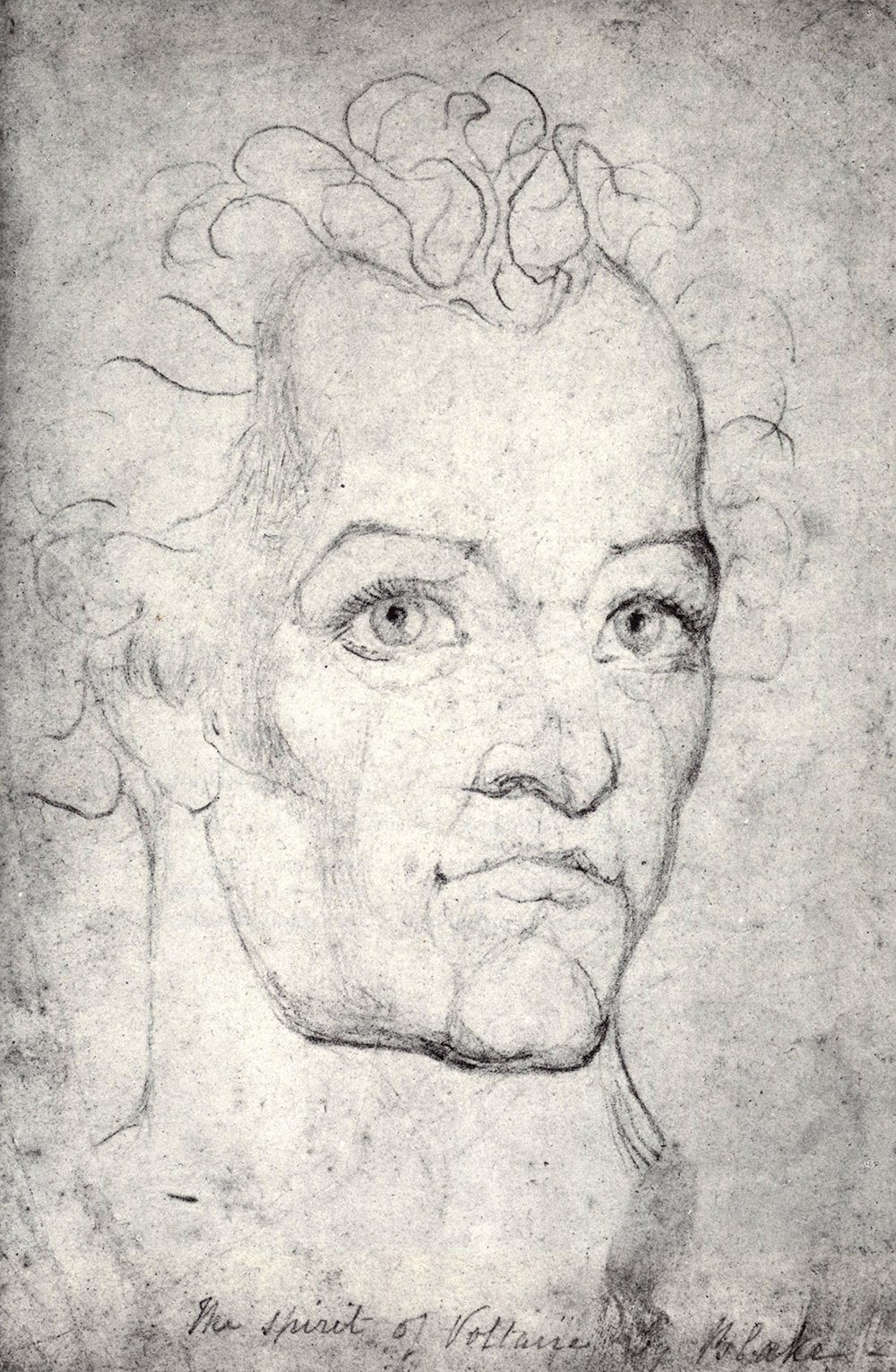 Cuadro William Blake Voltaire c 1820 en tamaño mediano mate con marco marrón