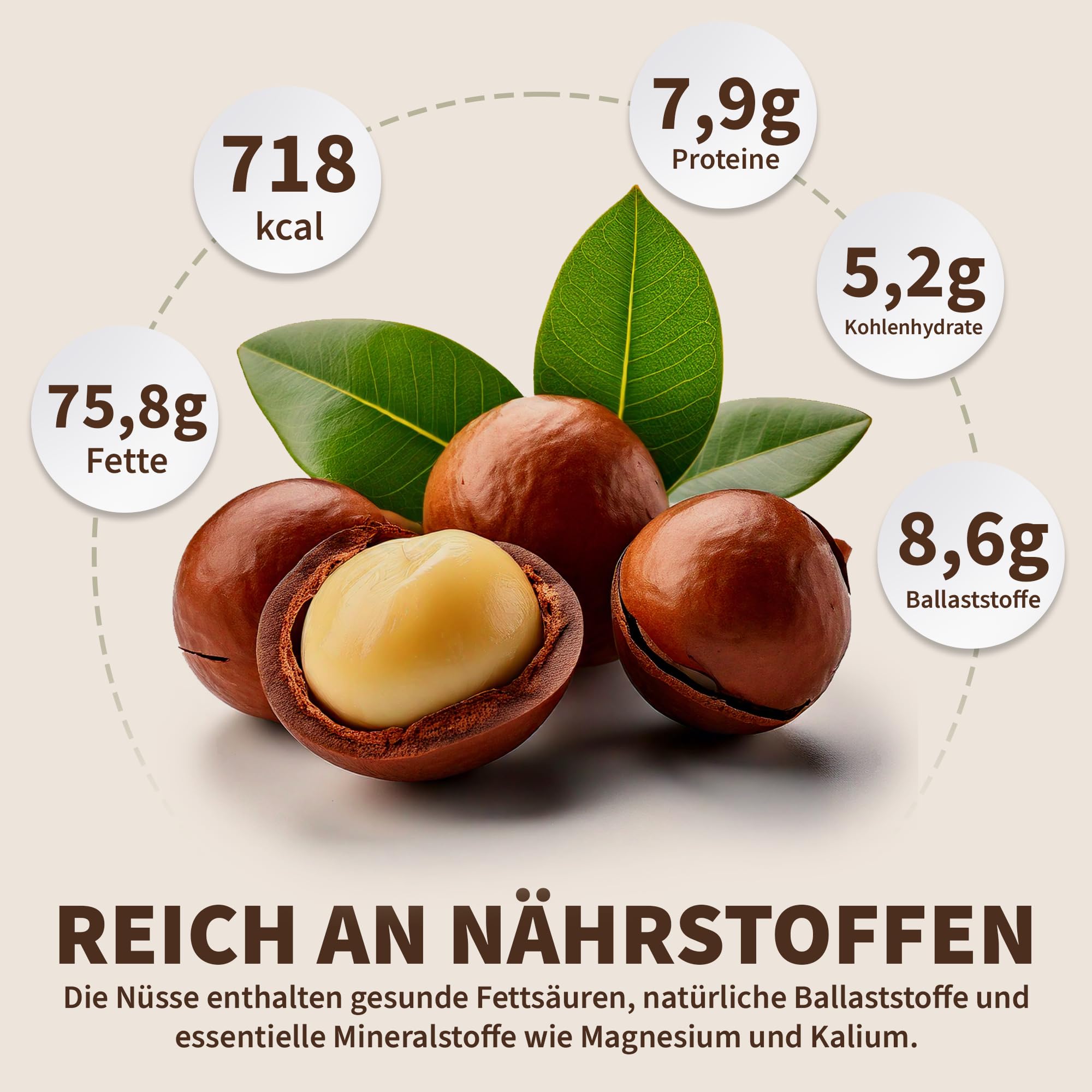 Feinwälder® Macadamianüsse Hälften 1kg Naturbelassen & Ungesalzen - Macadamia-Nüsse roh für Backen, Kochen & Snacks - Halbe Macadamia-Kerne, Macadamia-Nuss glutenfrei & vegan