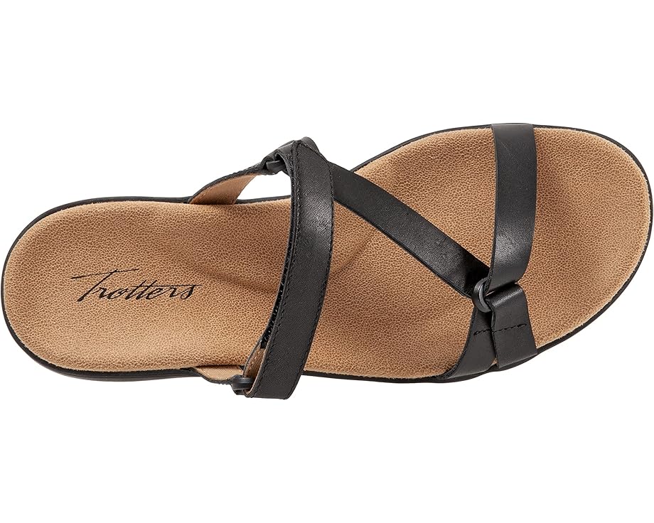 Trotters Raja - Top View