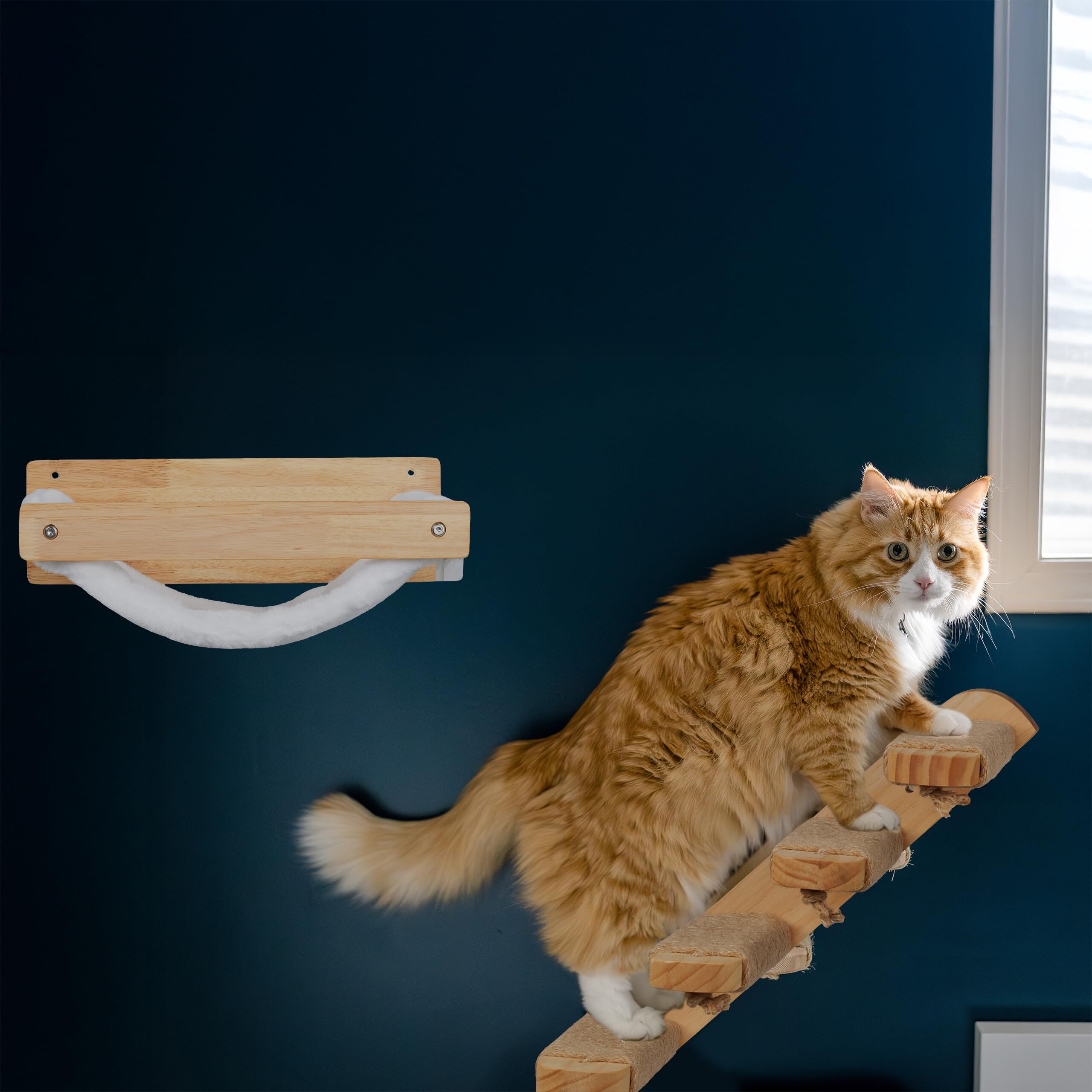 Relaxdays Cuccia Amaca da Parete per Gatti, Letto Rialzato per Animali, Percorso Arrampicata a Muro, HLP 17x39,5x32,5 cm