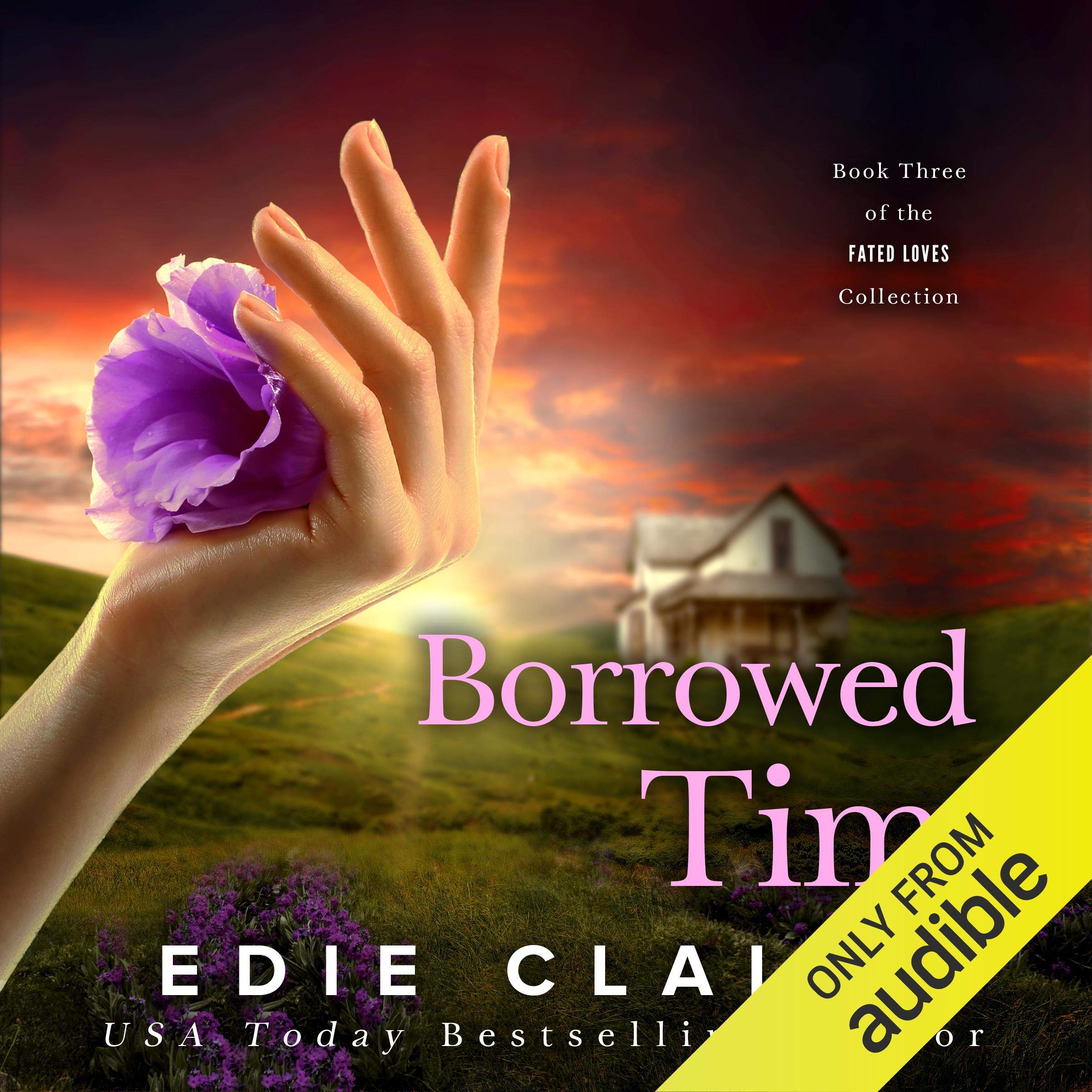 Cover art for Borrowed Time
