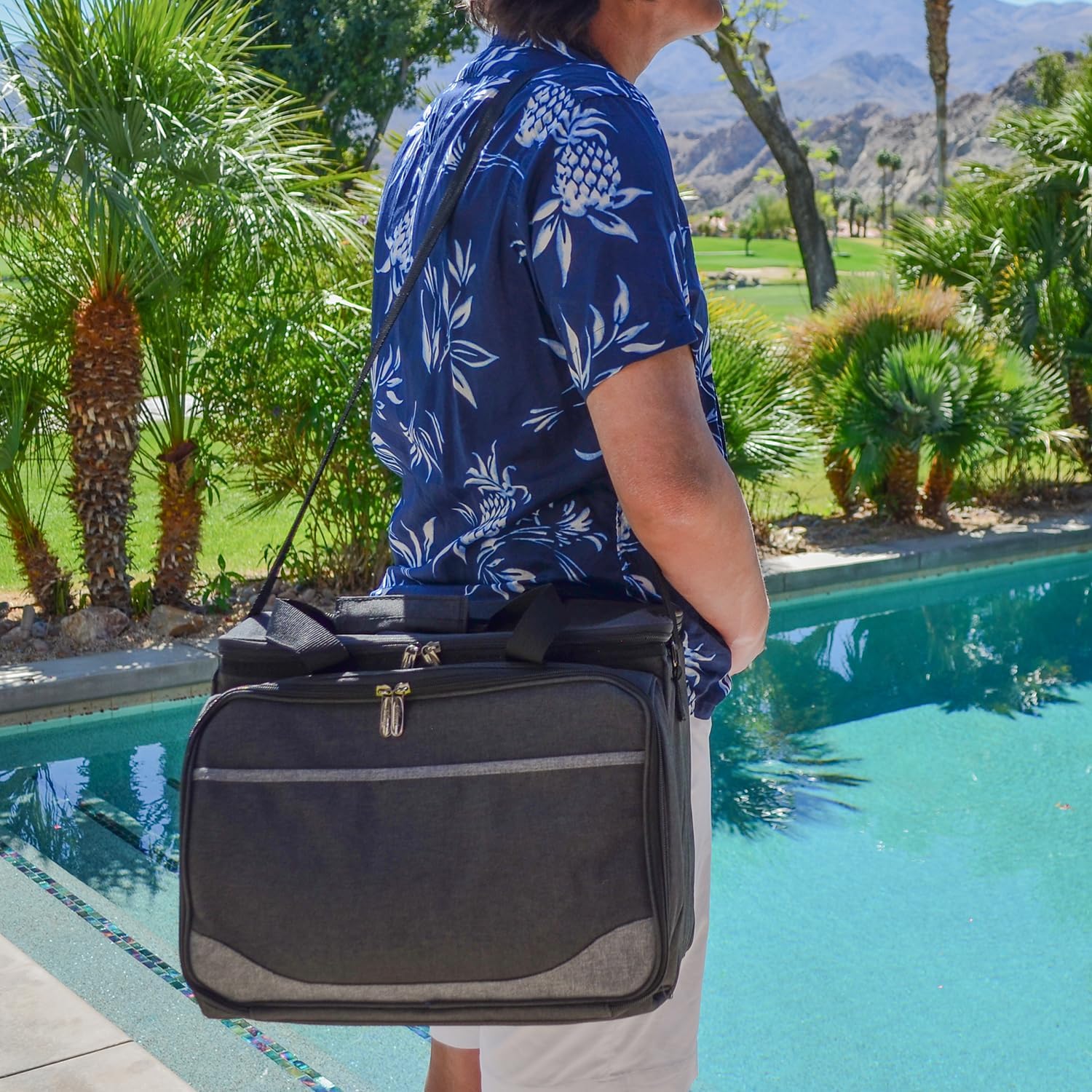 Picnic at Ascot Original Insulated Picnic Cooler with Service for 4 -Designed & Assembled in The USA