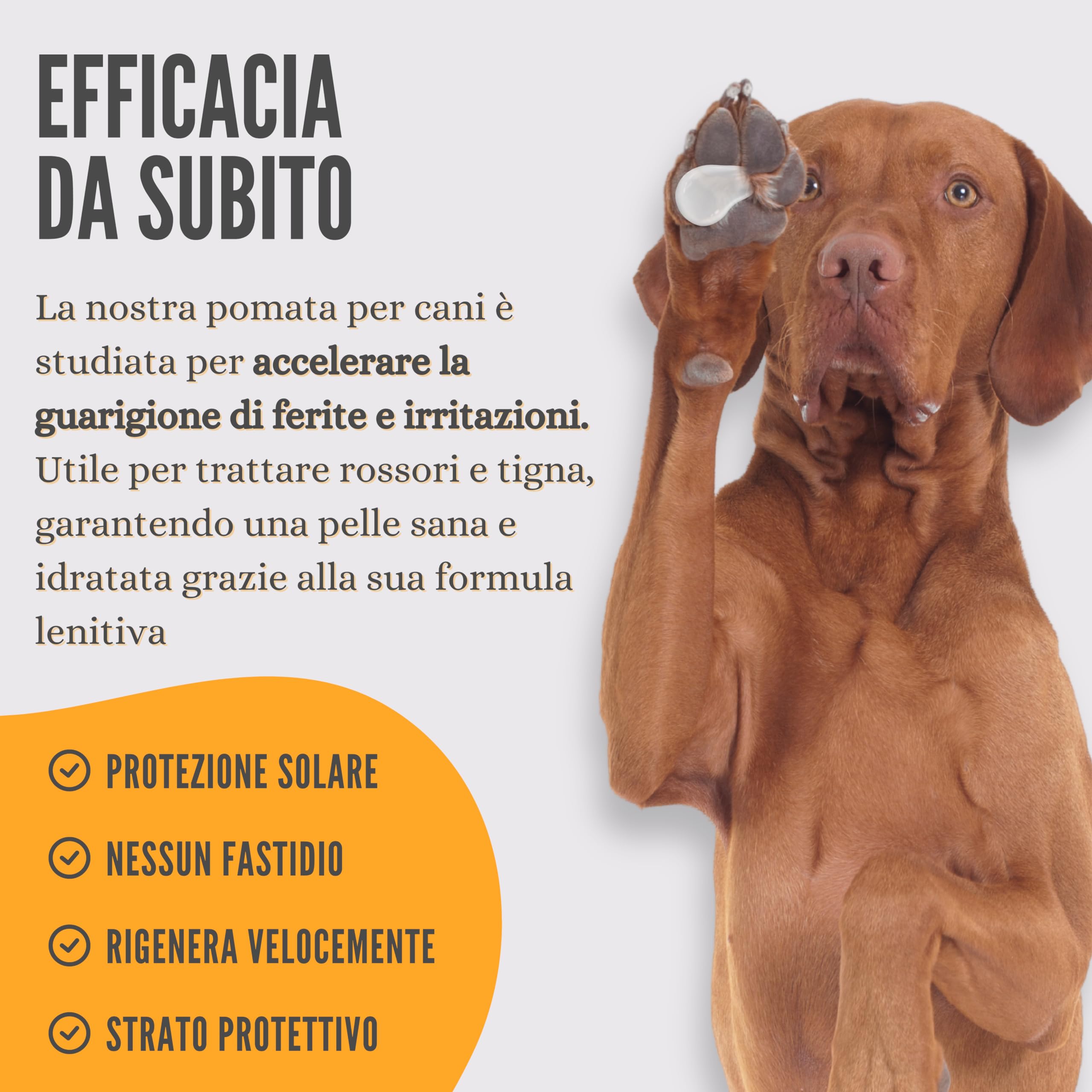 LexyFriend Crema Polpastrelli Cane Gatto Cicatrizzante, Pomata Protezione Zampe e Crema Gomiti Secchi e Irritazioni 150ML, Crema Cuscinetti per Cani Lenitiva Ossido di Zinco Argilla Bianca Bio