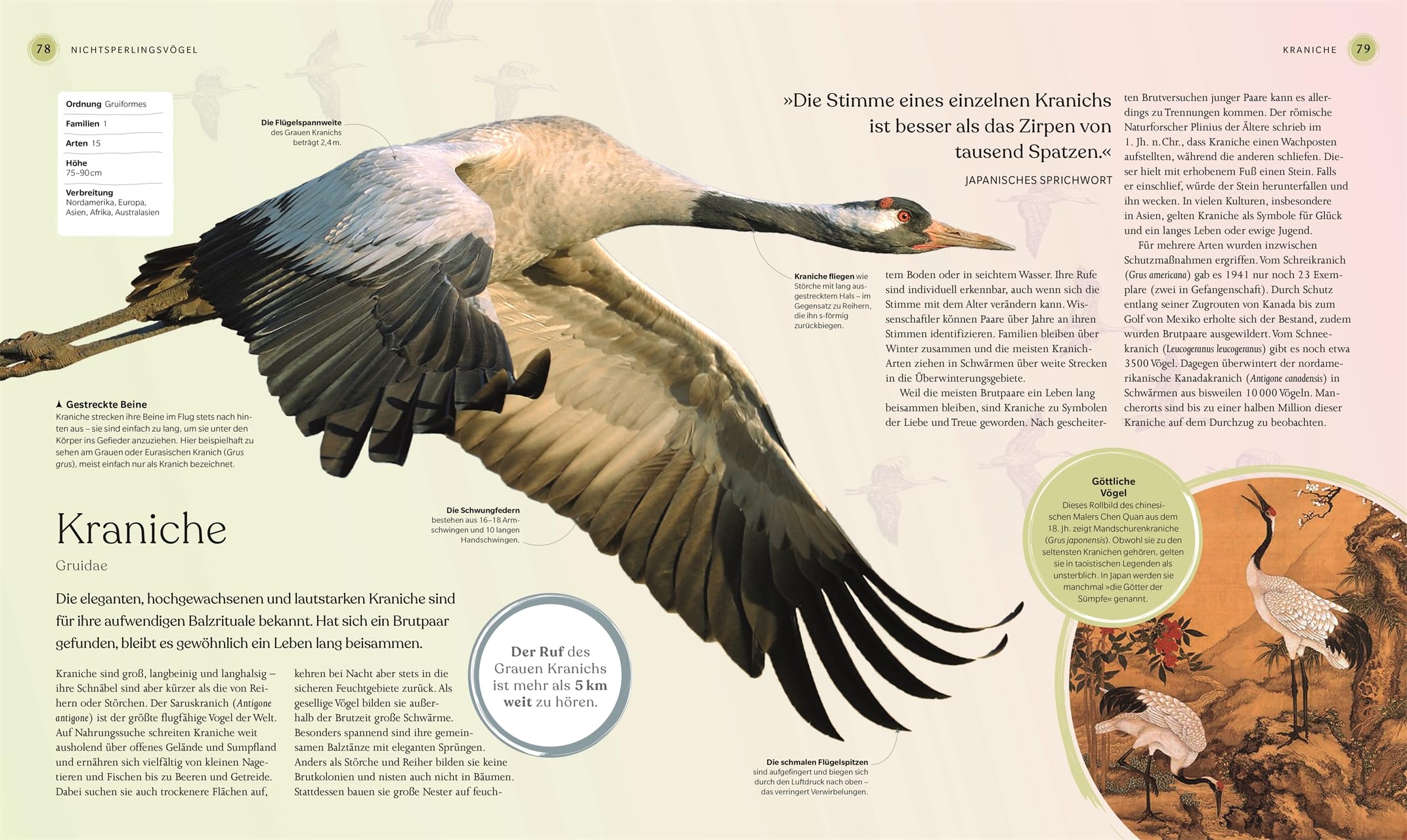 Vögel - Eine Natur- und Kulturgeschichte: Über 100 Vögel aus aller Welt in ausführlichen Porträts. Spannende Fakten, brillante Fotos und Illustrationen (DK Faszinierende Welt)
