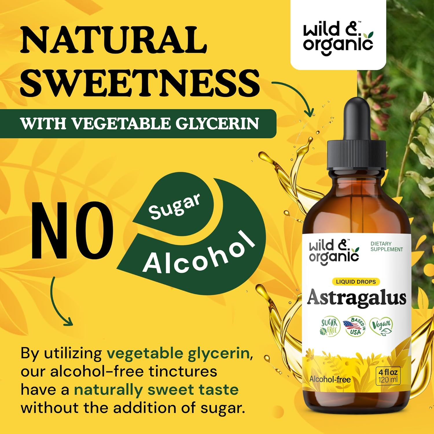 Wild & Organic Astragalus Tincture - Immune Support Supplement w/Astragalus Root Extract - Vegan Tincture for Immunity - Sugar & Alcohol-Free Drops - 4 fl oz - Image 6