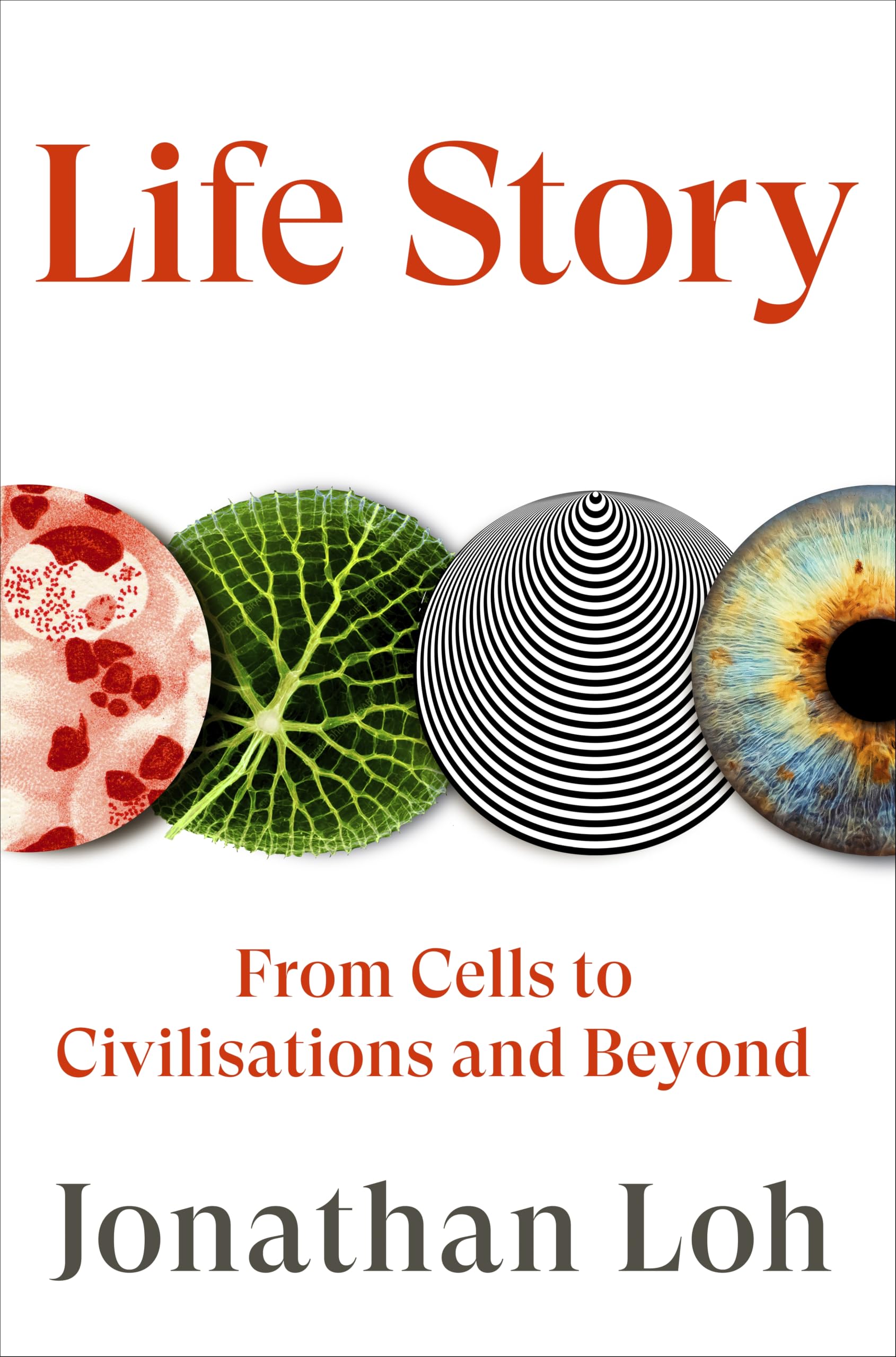Life Story: From Cells to Civilisations and Beyond