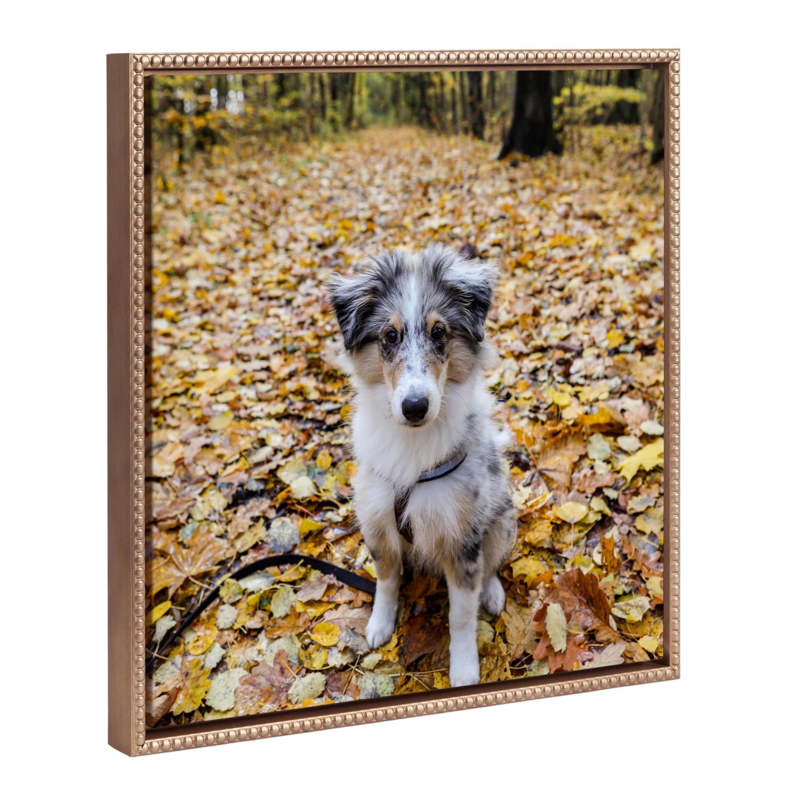 Kate and Laurel Custom Printed Framed Canvas Wall Art, 22x22 Beaded Gold, Sylvie Personal Canvas Print with Your Photos for Bedroom or Living Room