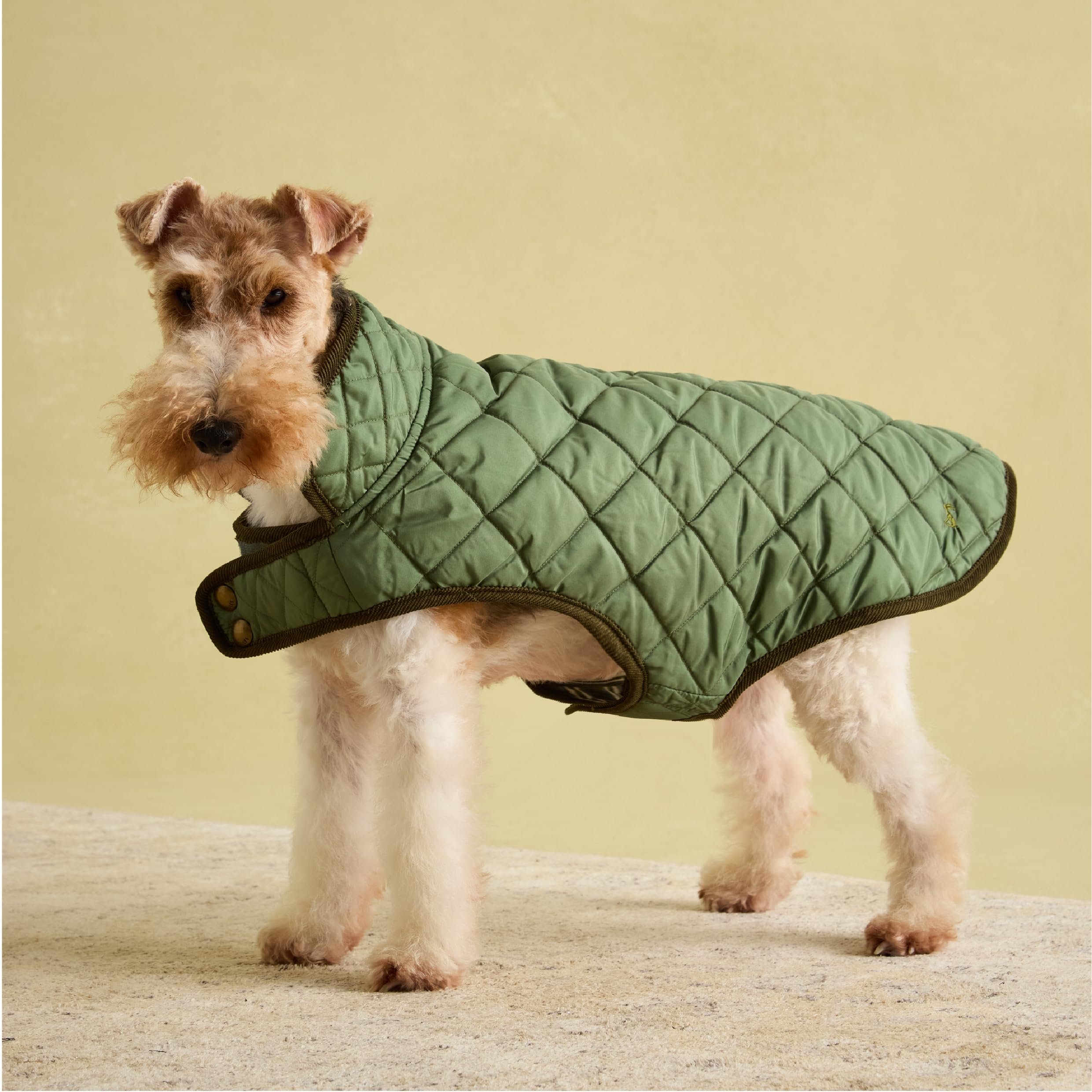 Rosewood x Joules Khaki Quilted Coat for Dogs, Medium, Washable, Lightweight, Warm Winter Dog Jacket for Medium Dogs