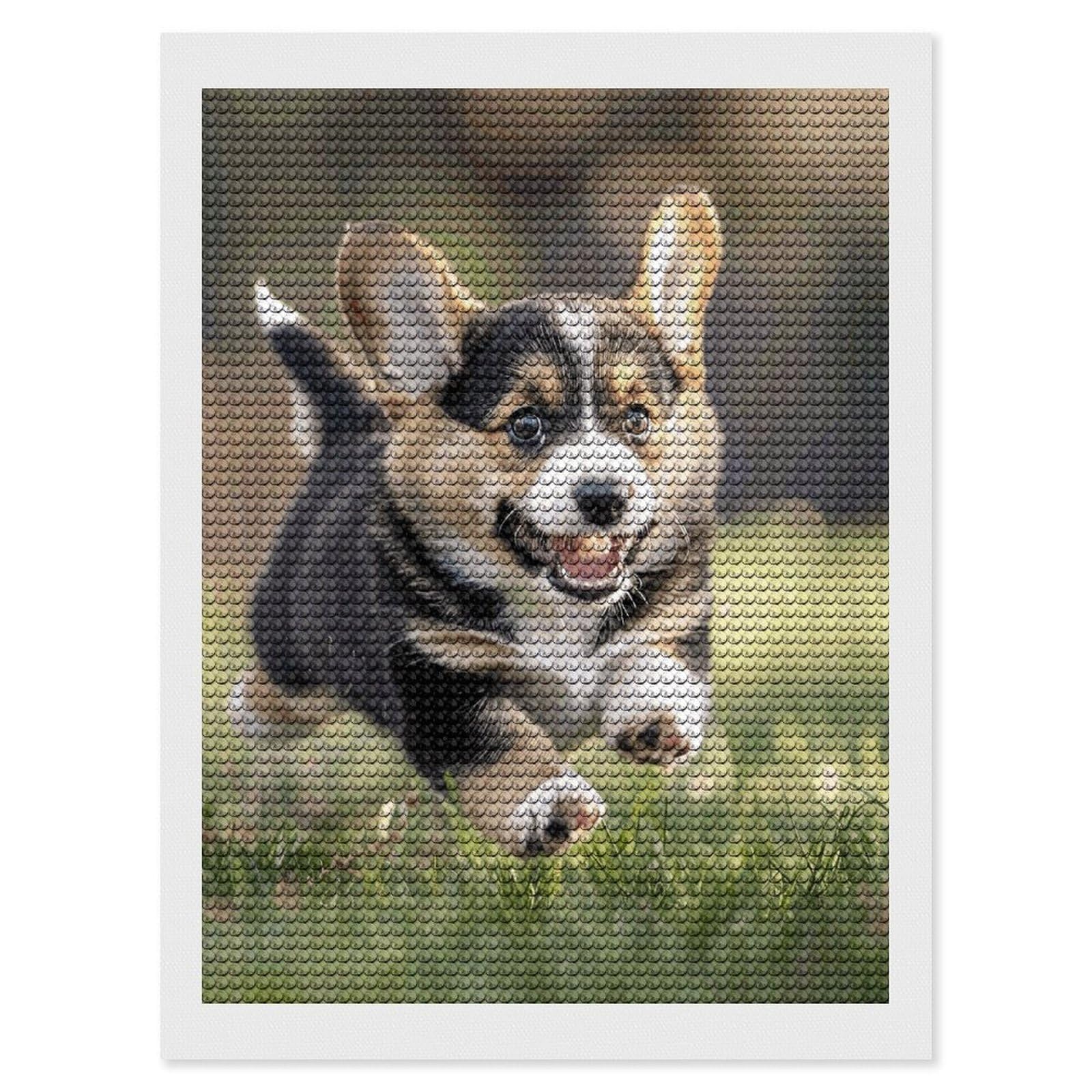 DWVTSLH Running on Grass Diamond Painting Kits for Adults, Personalized Diamond Photo Art Full Drill, DIY 5D Diamond Art Painting Kits for Beginners, Home Wall Decor 12"x16"