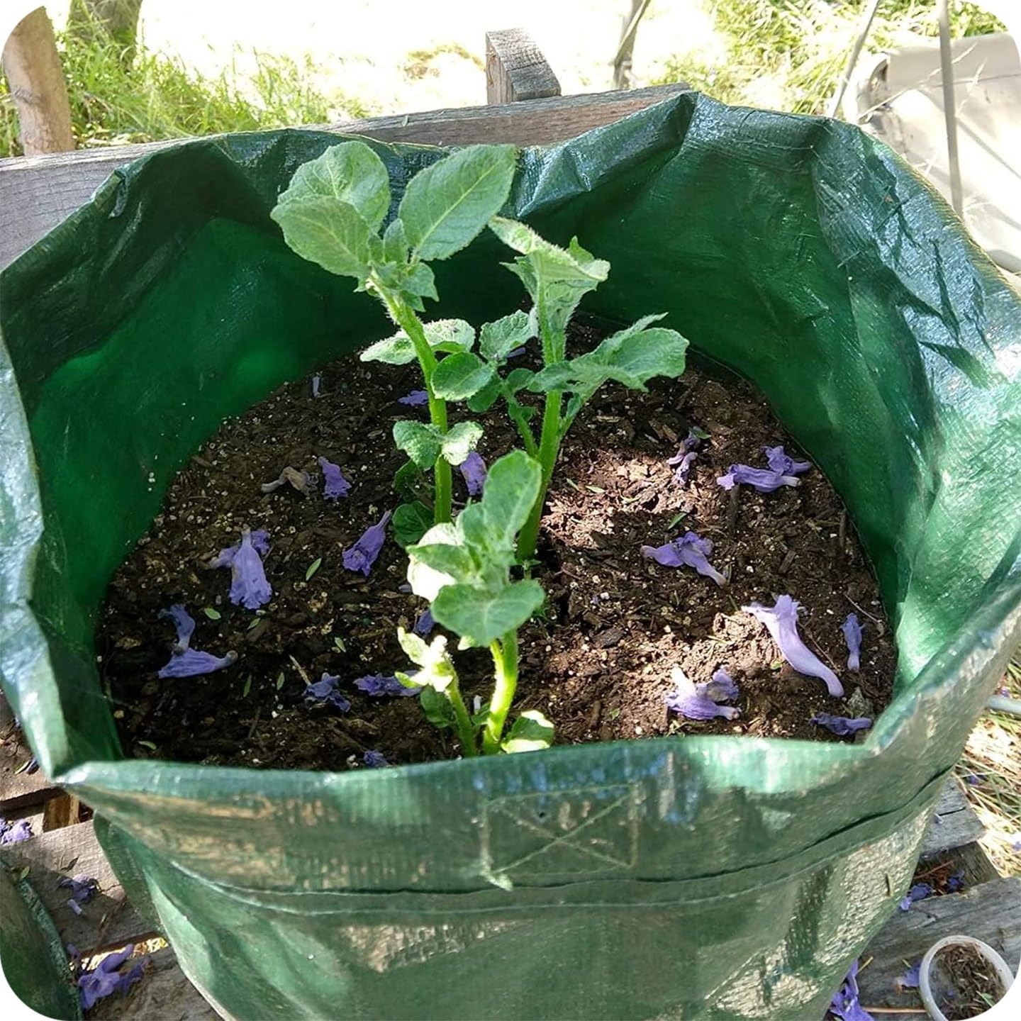 Krumad Worek Uprawowy, Wielokrotnego Użytku, Wodoodporny i Odporny na UV, Z Uchwytami, Idealny do Uprawy Ziemniaków, Ziół i Warzyw, Donica Tekstylna na Balkon, Taras i Ogród, 35x34 cm, 26,5L, Zielony