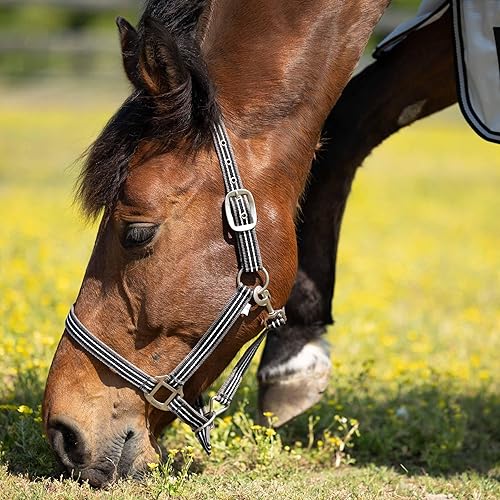 Vista 3 de HORZE Cabestro ajustable Adepto Poliéster suave y duradero - Azul marino oscuro - Caballo