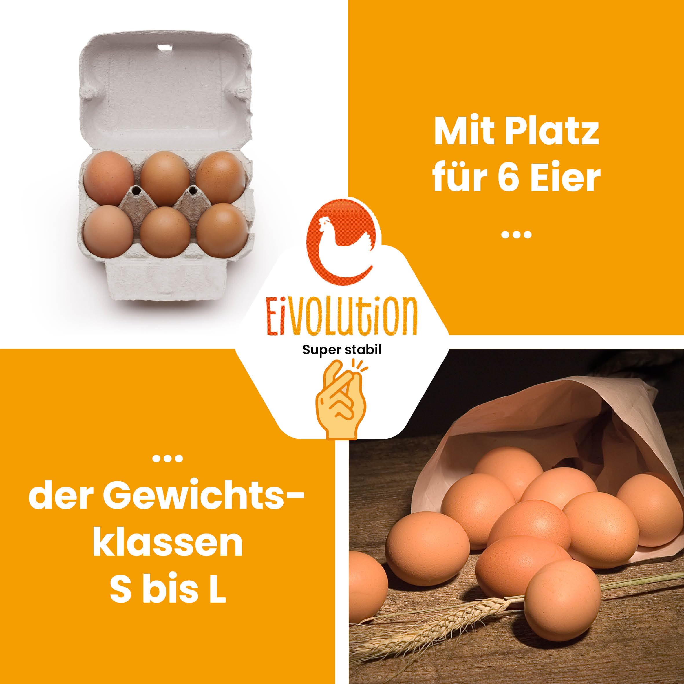ComPac 6er Eierkarton für Hühnereier in den Größen S, M & L | Biologisch Abbaubar | Eierschachtel Made in Germany | Naturweiß | 90 Stück