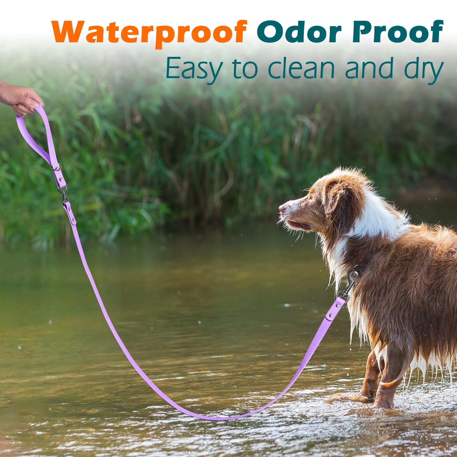 PetBonus Waterproof Dog Lead, 150 cm Odor Proof Walking Training Leash - Image 2