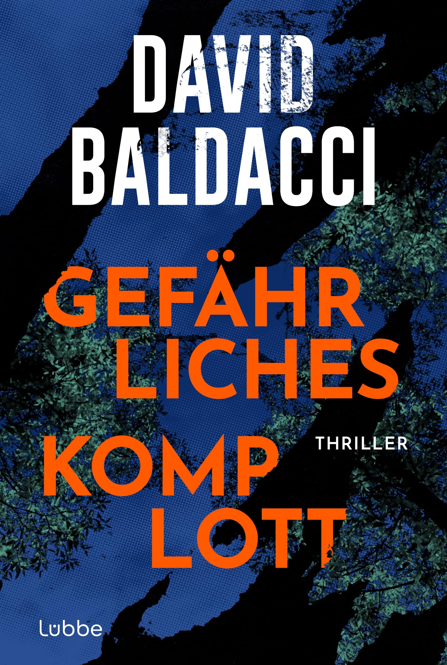 Lübbe Gefährliches Komplott: Thriller. Ein Gefährliches Katz-Und-Maus-Spiel Zwischen Einer Ehemaligen Polizistin Und Einer Betrügerin