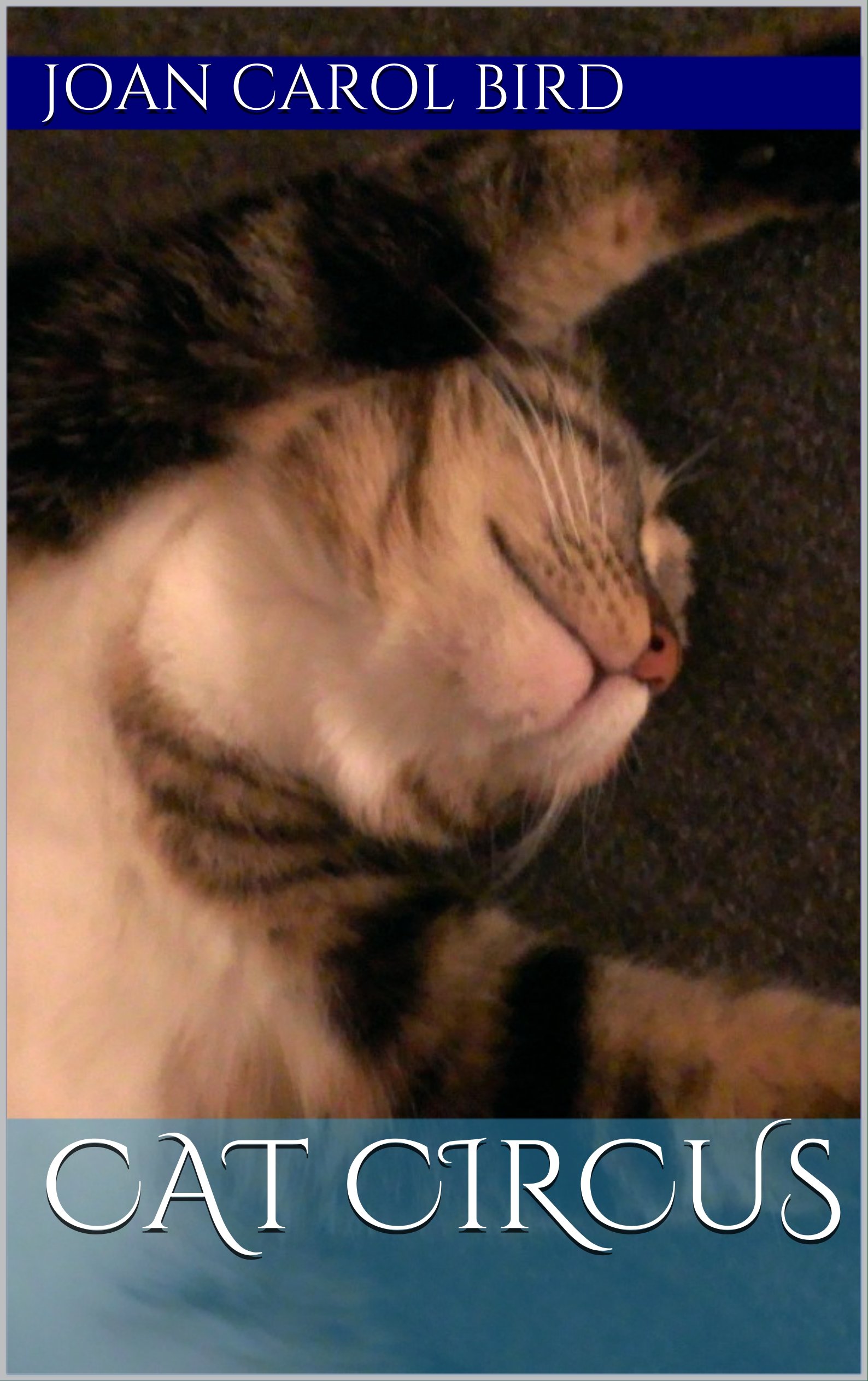 Cat Circus