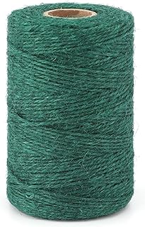 Anwyll Garden Twine, 656 Feet 2MM Green Twine for Gardening, Heavy Duty Garden Jute Twine String, Hemp Rope String for Climbing Plants, Gardening, Tomatoes, Floristry, Gift Wrapping, Crafts