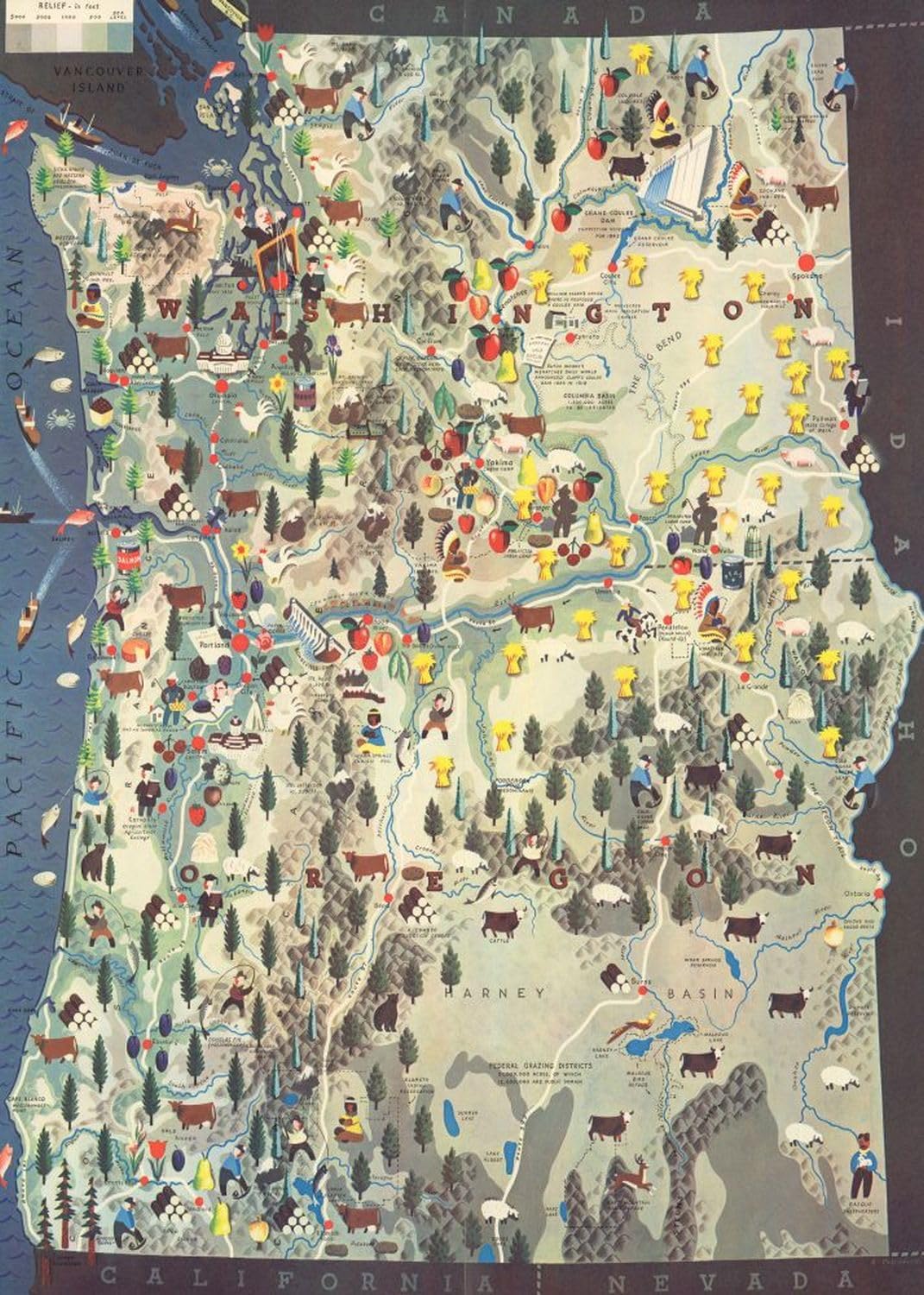 Map of Pacific Northwest | Washington and Oregon | 1000 Piece Adult Jigsaw Puzzle | PWN Puzzle