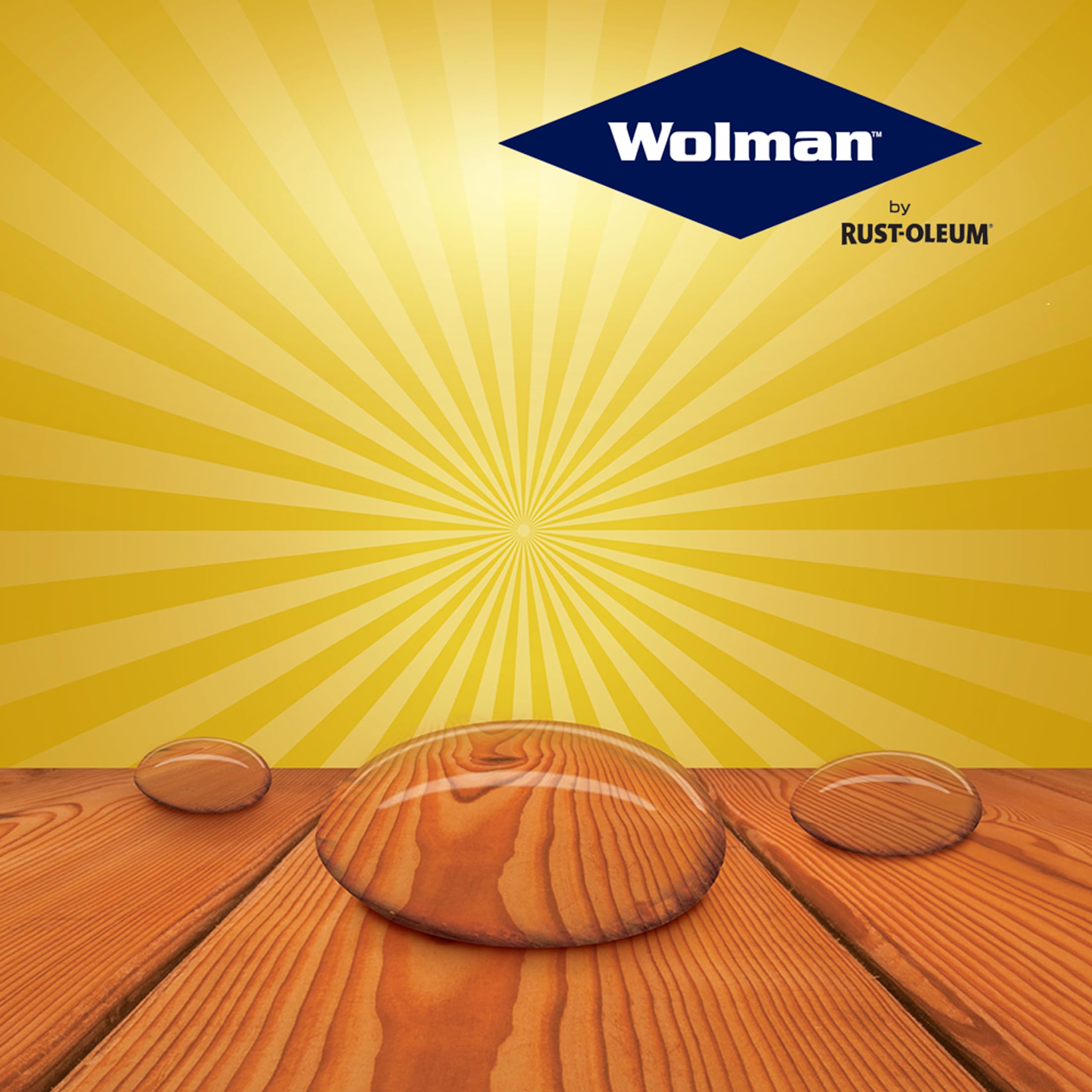 Wolman 14396 F&P Oil-Based Wood Finish & Preservative Transparent