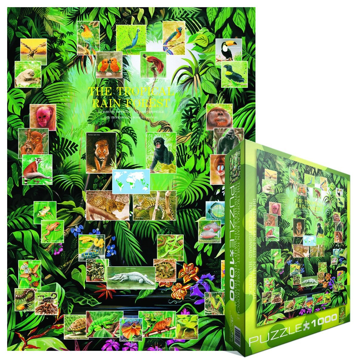 EuroGraphics Rainforest 1000-Piece Jigsaw Puzzle | 19.25x26.5 Inch Completed Size