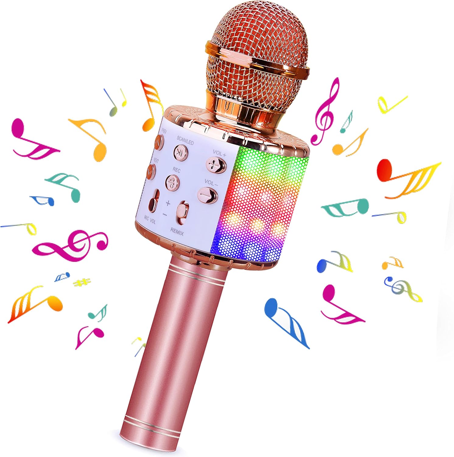 BlueFire 4 in 1 Handheld Karaoke Microphone, Portable Karaoke System