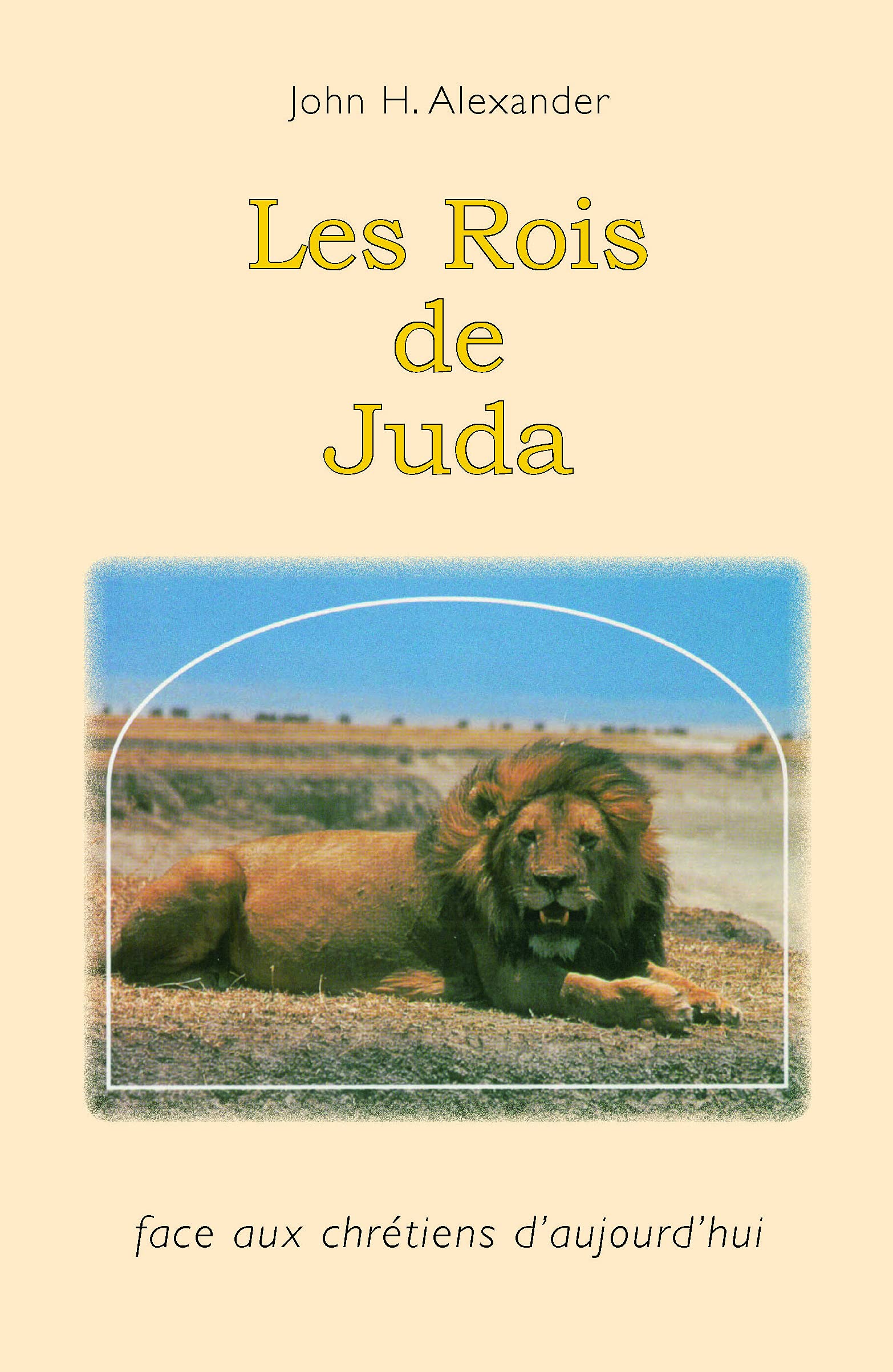 Les rois de Juda: face aux chrétiens d'aujourd'hui