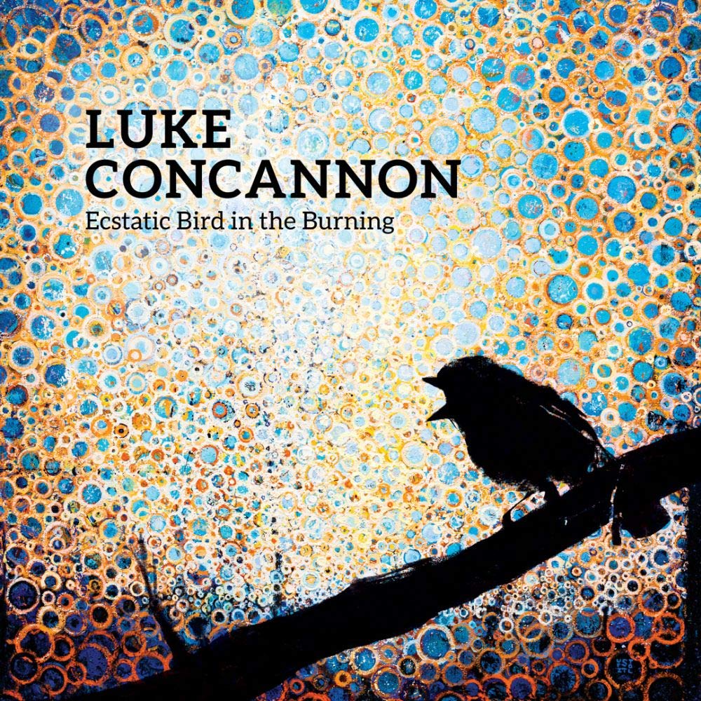Ecstatic Bird In The Burning [Audio CD] Luke Concannon [Tracked 24 Post]