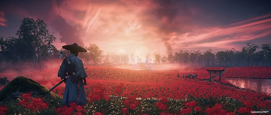 PS4版 GHOST OF TSUSHIMA DIRECTOR'S CUT 81Rtk+jY4EL._UF350,350_QL80_.jpg