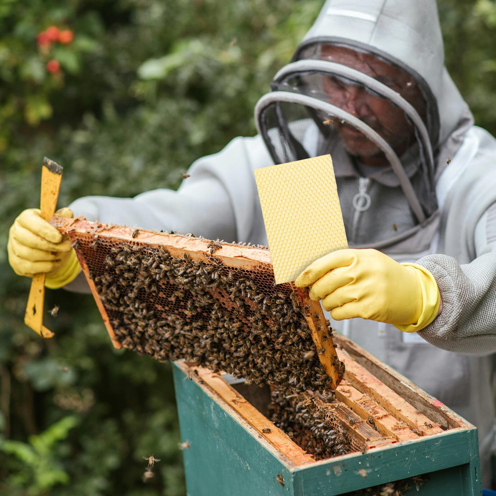 SHINEOFI 10 Láminas de Cera de Abeja Natural para Colmenas Tamaño Mediano Base para Marcos Profundos Adecuado para Apicultura y Bricolaje Cera para Construcción de Panales y