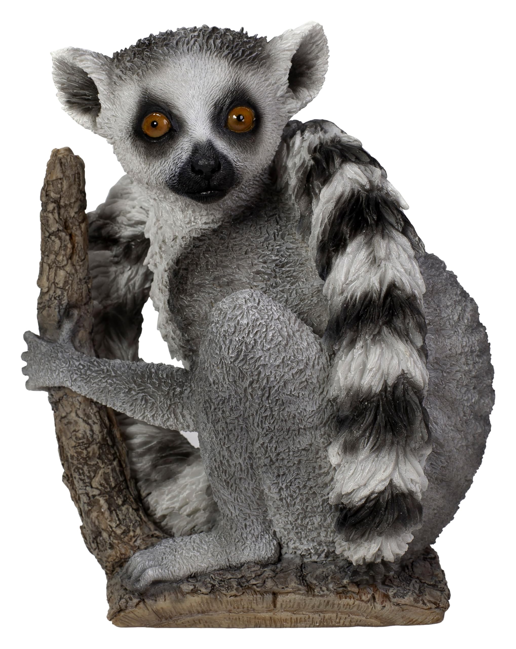 Vivid Arts - Ring-tailed Lemur - PP-LEMR-F