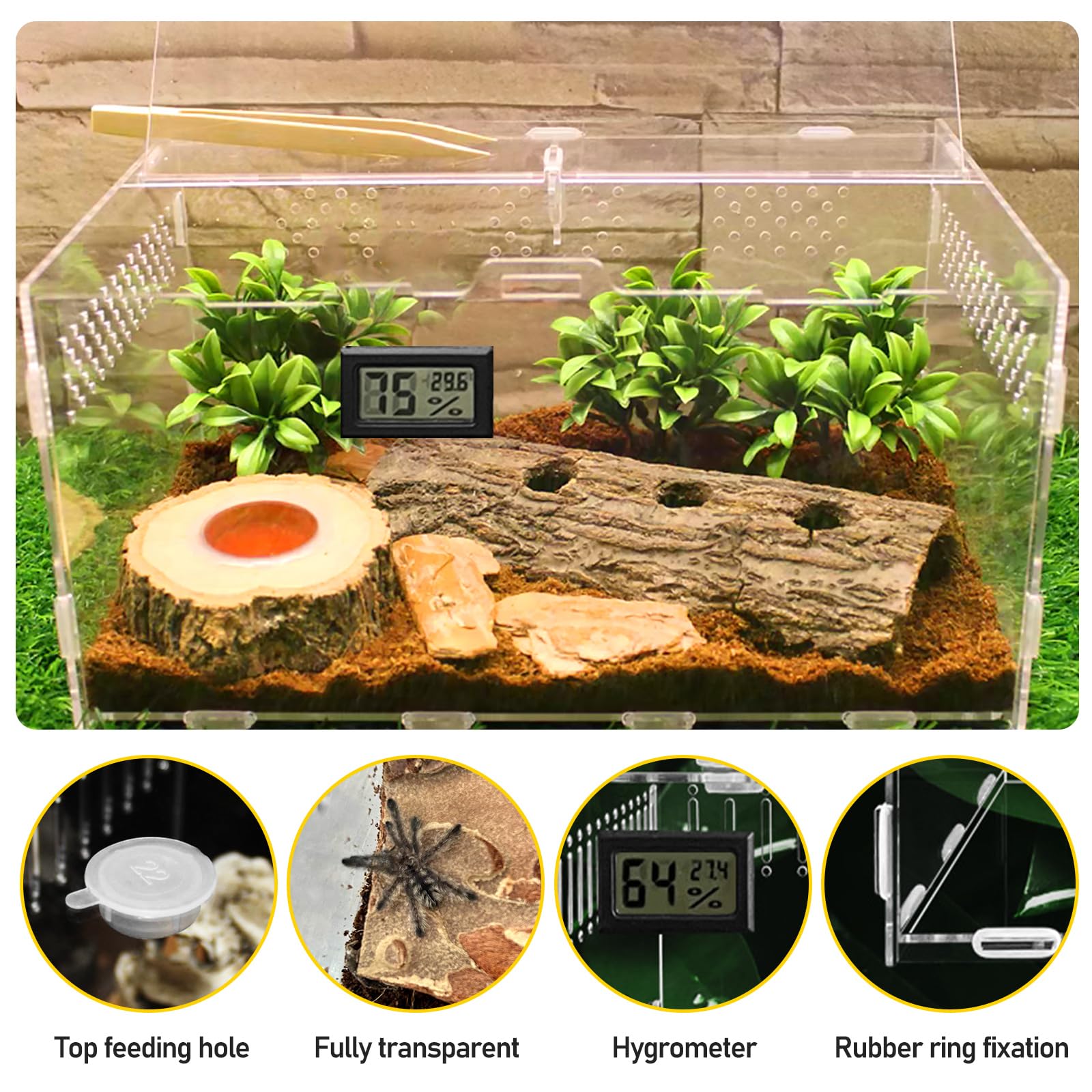 Reptilien Terrarium Box, Schnecken Terrarium, 30 * 20 * 15 Reptilien Futterbox, Reptil Fütterungsbox Transportbox Behälter, Acryl Box Aufzuchtbox Mit Hygrometer