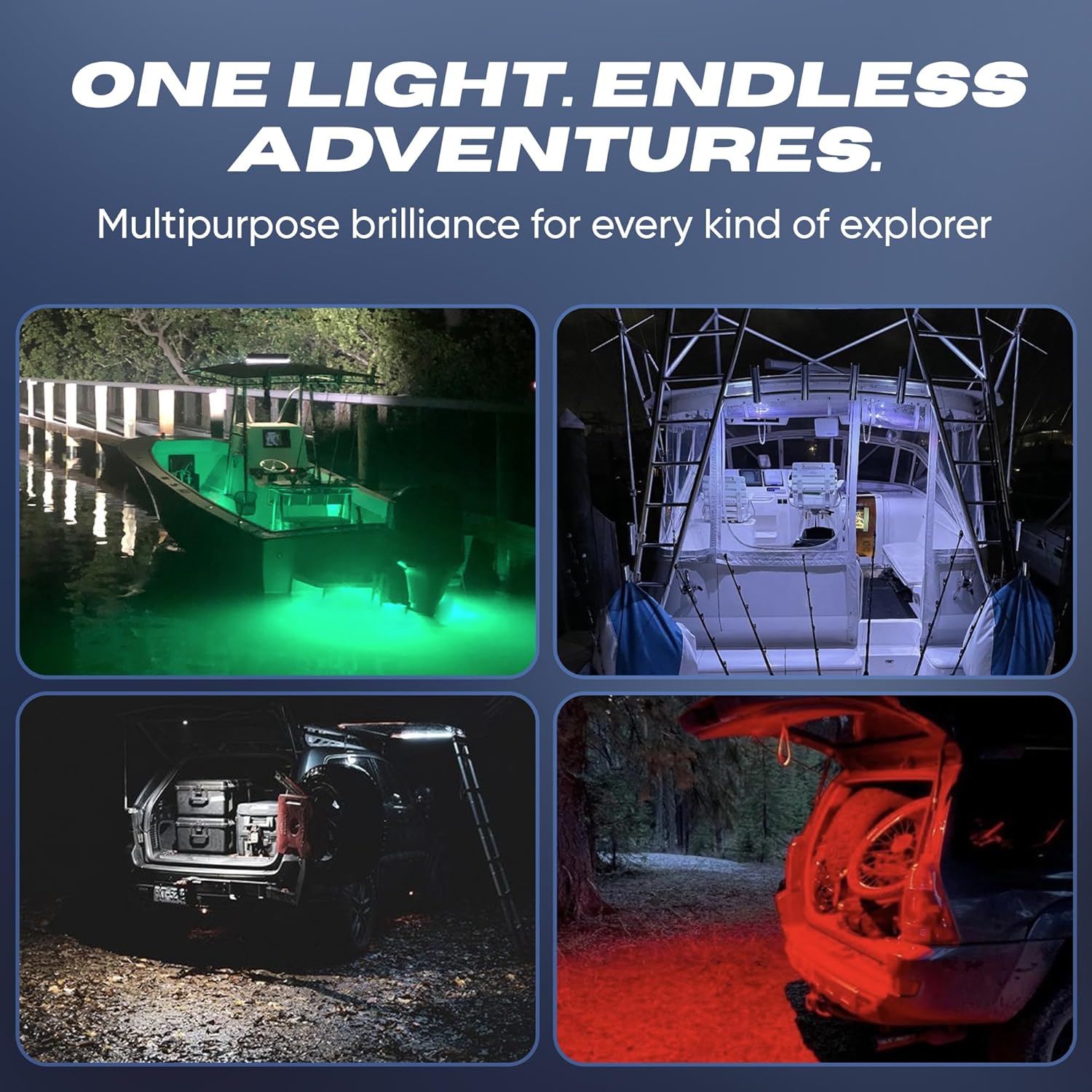 ブラックオーク ロック アクセント ライト - レッド - ホワイト ハウジング