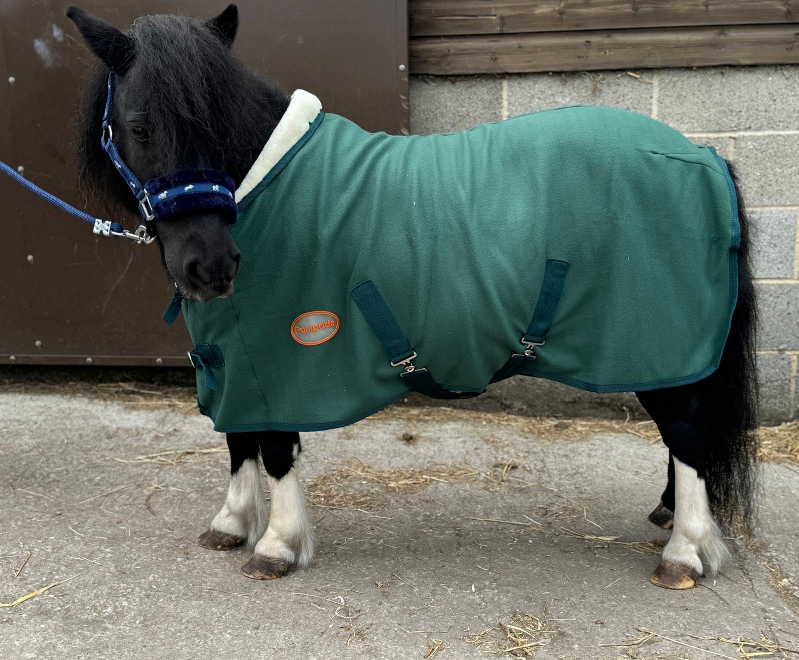Equipride Horse Fleece Show Rug, with Collar and Chest Closure, for Shetland and Pony Horses Size 4'0" to 6'9" (Hunter Green, 6'0")