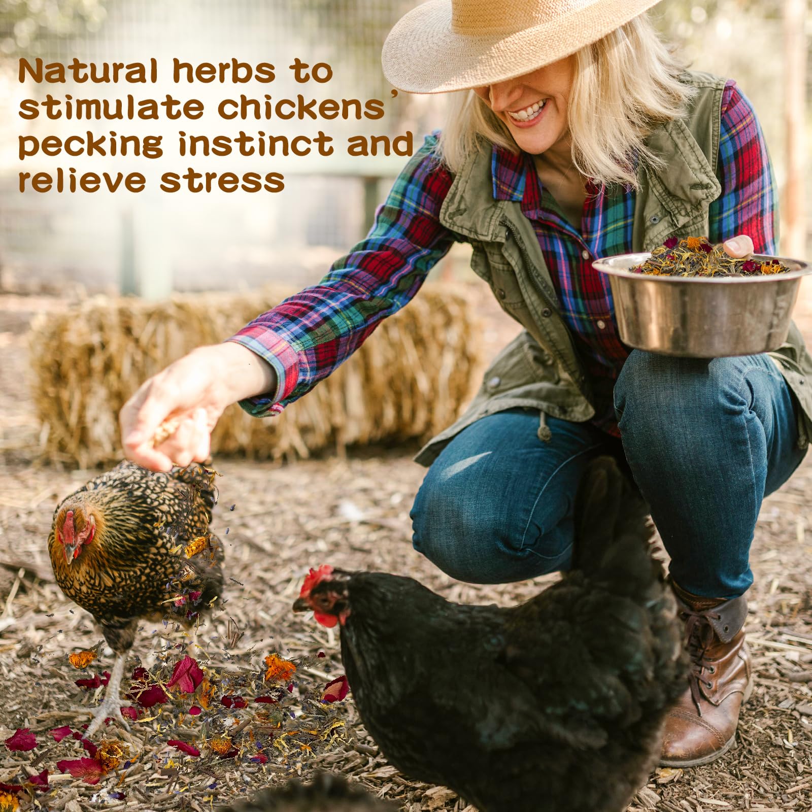Hierbas para gallinas anidantes, hierbas para gallinas anidantes en gallineros, mezcla de 1 libra para la salud de las gallinas, cama de gallinero, producción de huevos y