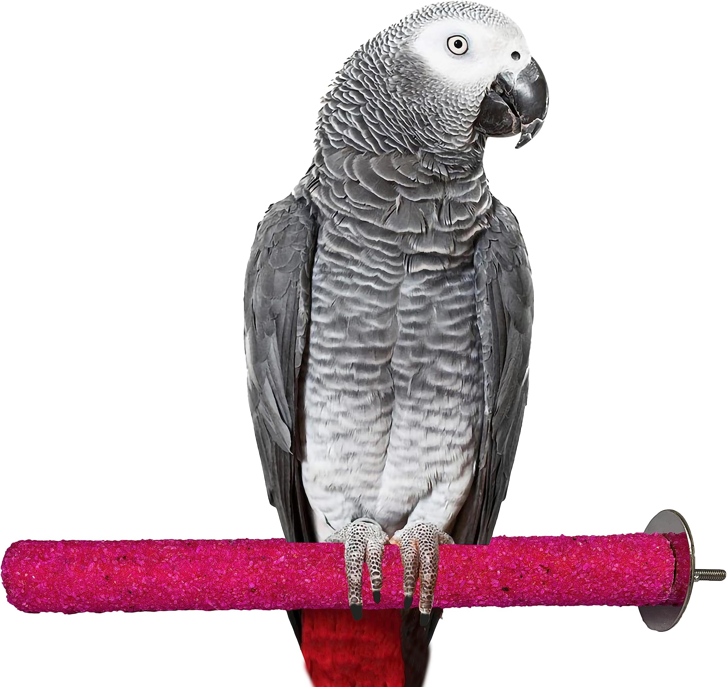 Congo® Premium Safe Chew Bird Sandy Sand Perch for Grinding Nail for Birds (Medium Sandy Perch 12")