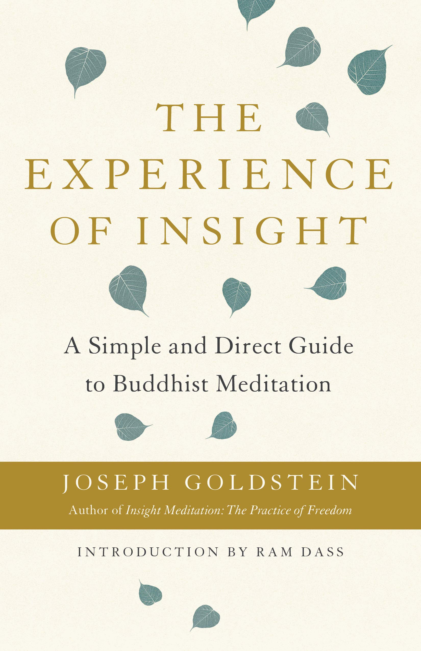 The Experience of Insight: A Simple and Direct Guide to Buddhist Meditation (Shambhala Dragon Editions)
