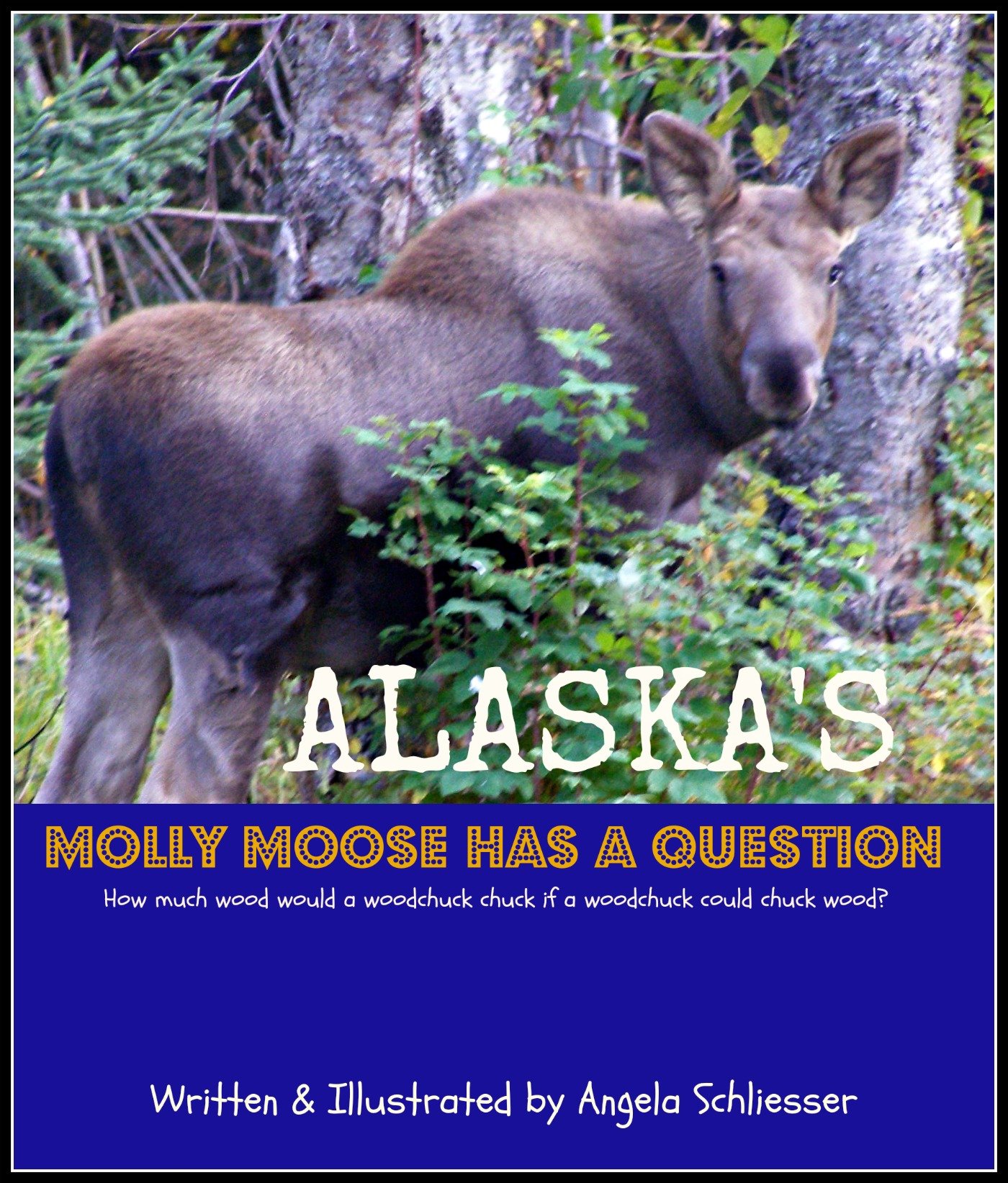 Alaska's Molly Moose Has A Question