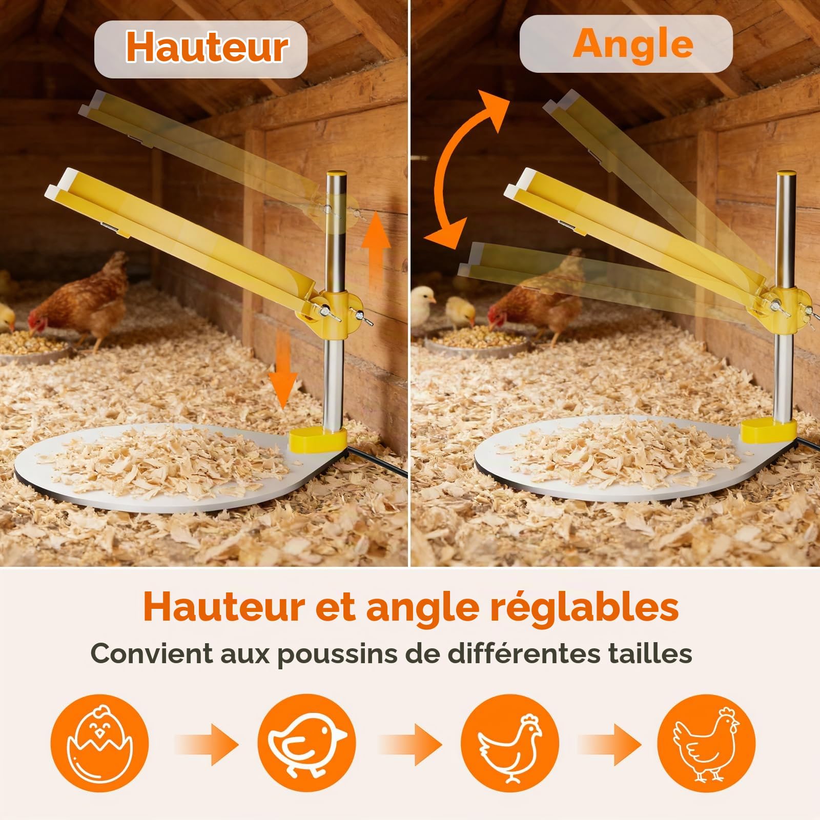IVJ Plaque Chauffante Poussin avec Lumière LED, 45W Température Réglable Chauffage Poussin, Affichage Numérique Eleveuse Poussin