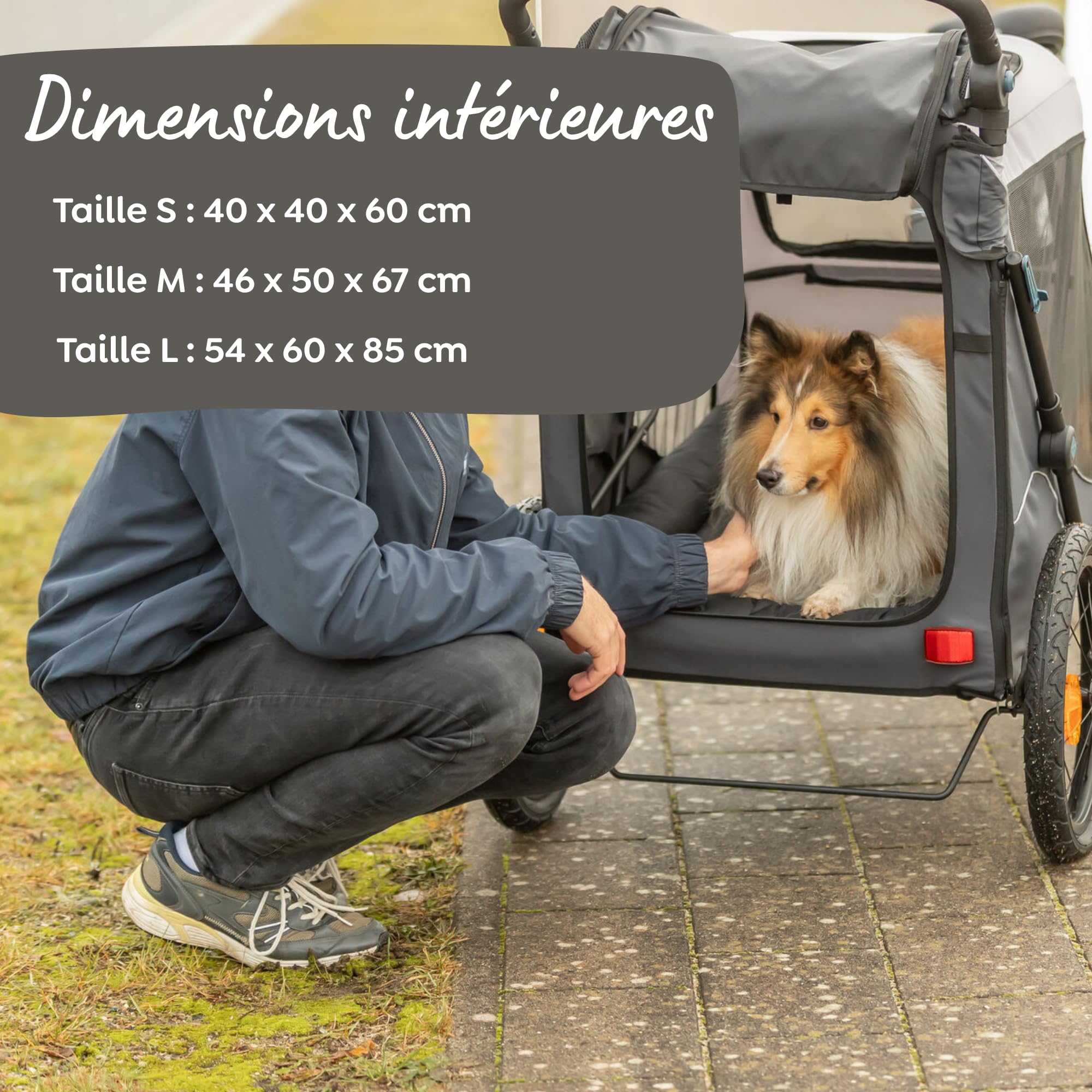 Trixie remorque vélo pour Chien 40 x 40 x 60 cm Jusqu’à 15 kg – remorque vélo réfléchissante avec Fonction de Pliage Rapide – avec Coussin et Laisse intégrés